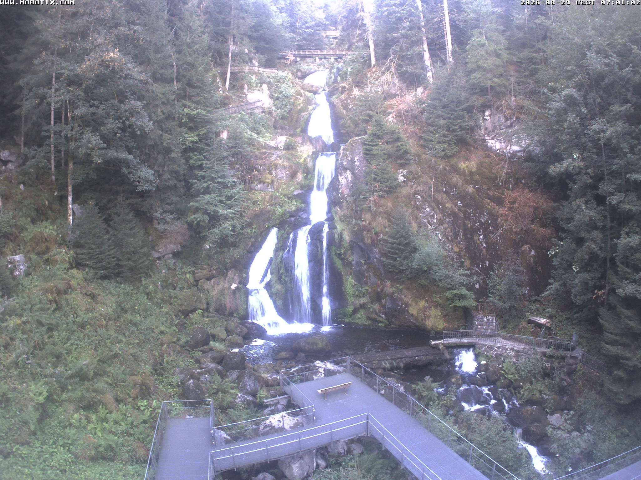 Archived image Webcam Triberg (Black Forest): Waterfalls