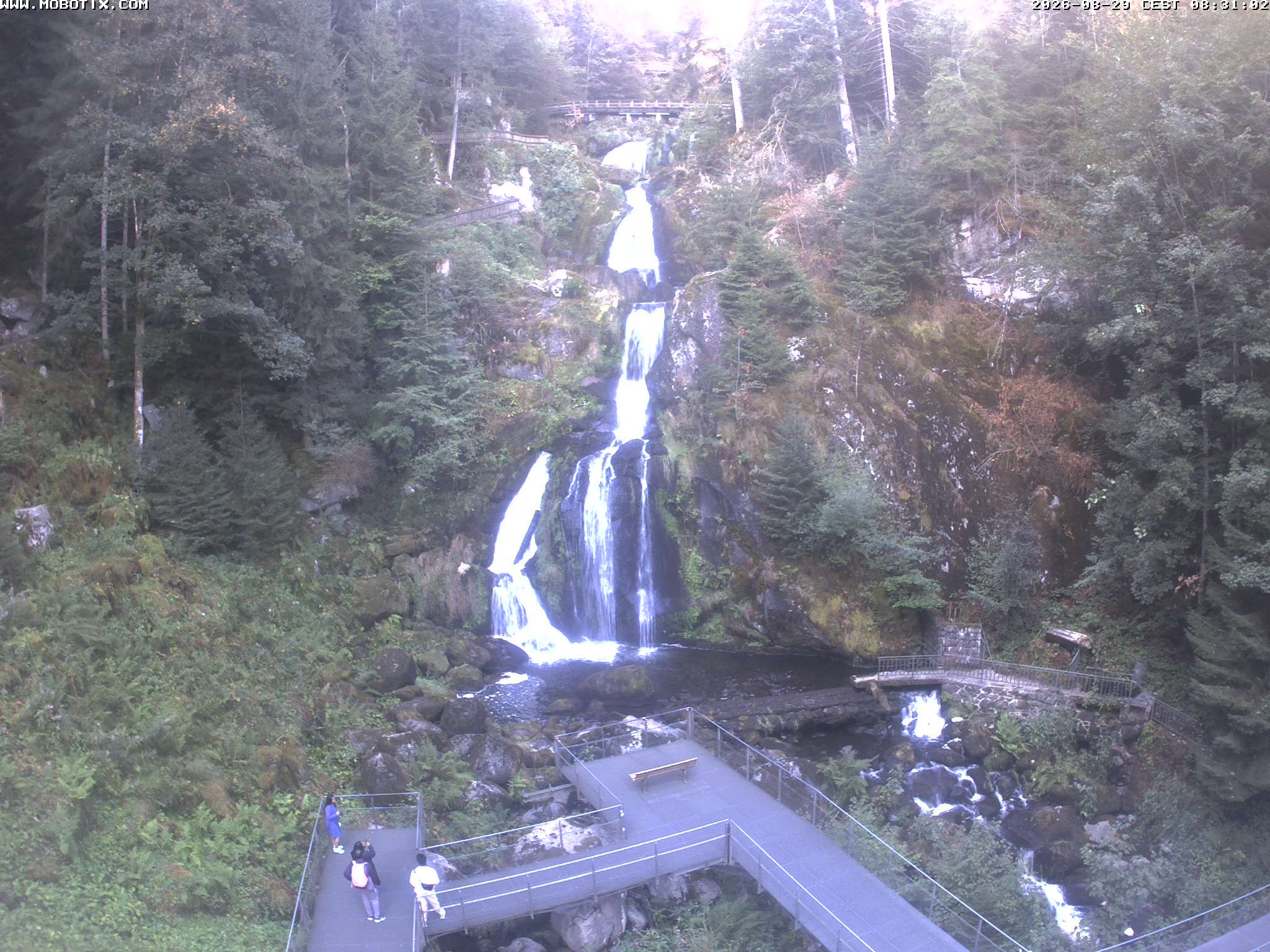 Archived image Webcam Triberg (Black Forest): Waterfalls