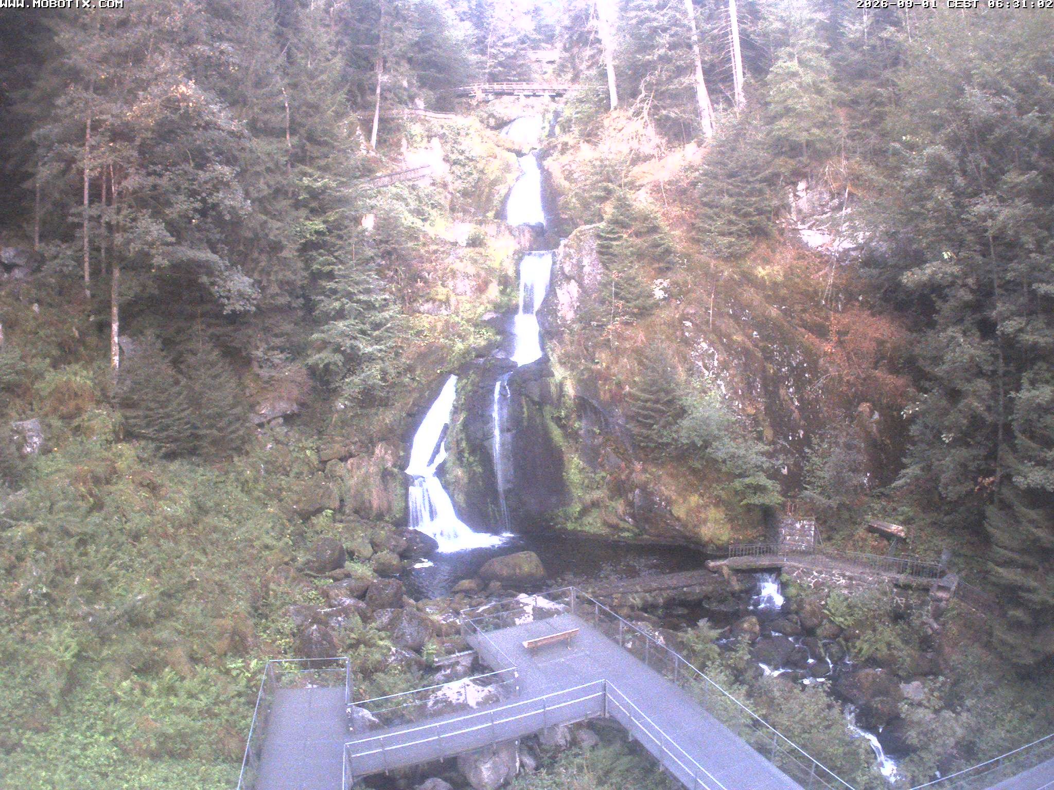 Archiv Foto Webcam Triberg Wasserfälle im Schwarzwald
