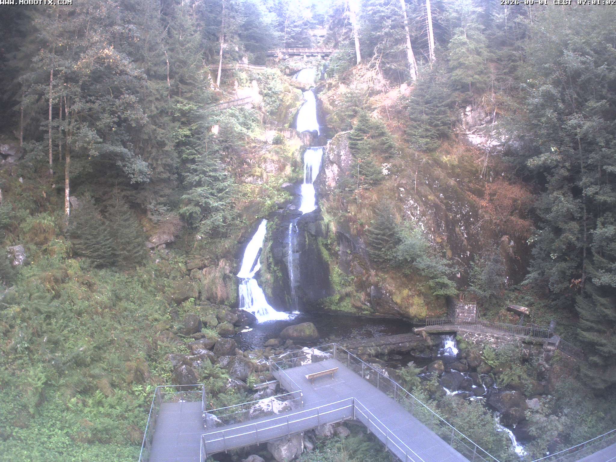 Archiv Foto Webcam Triberg Wasserfälle im Schwarzwald