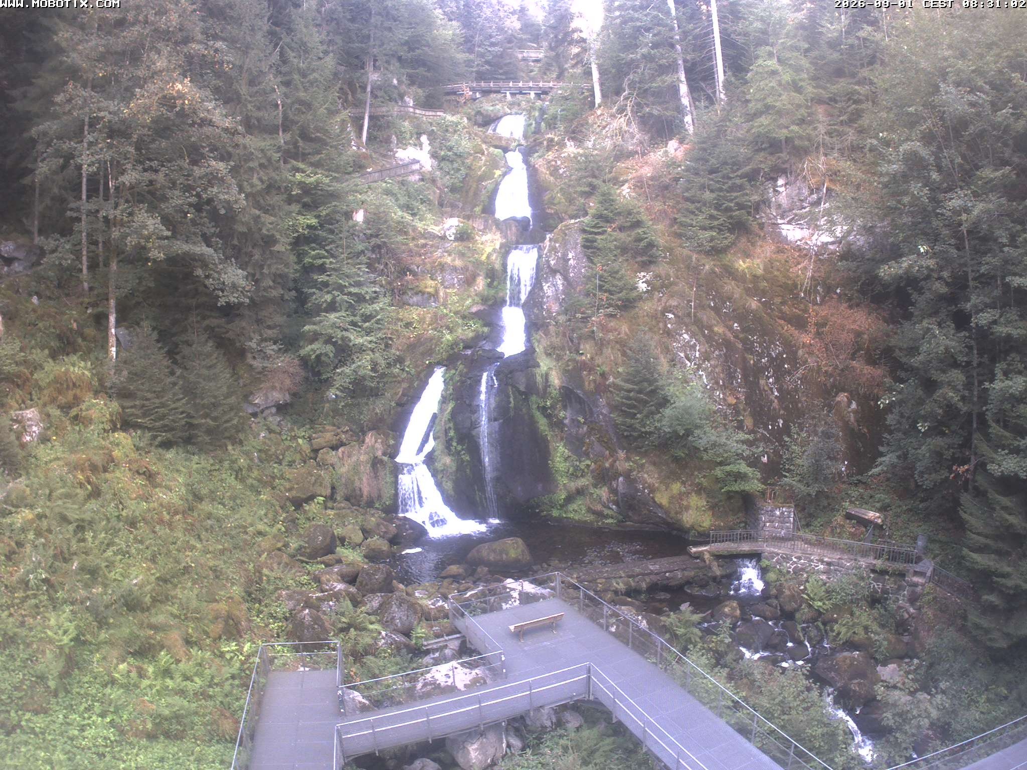 Archiv Foto Webcam Triberg Wasserfälle im Schwarzwald