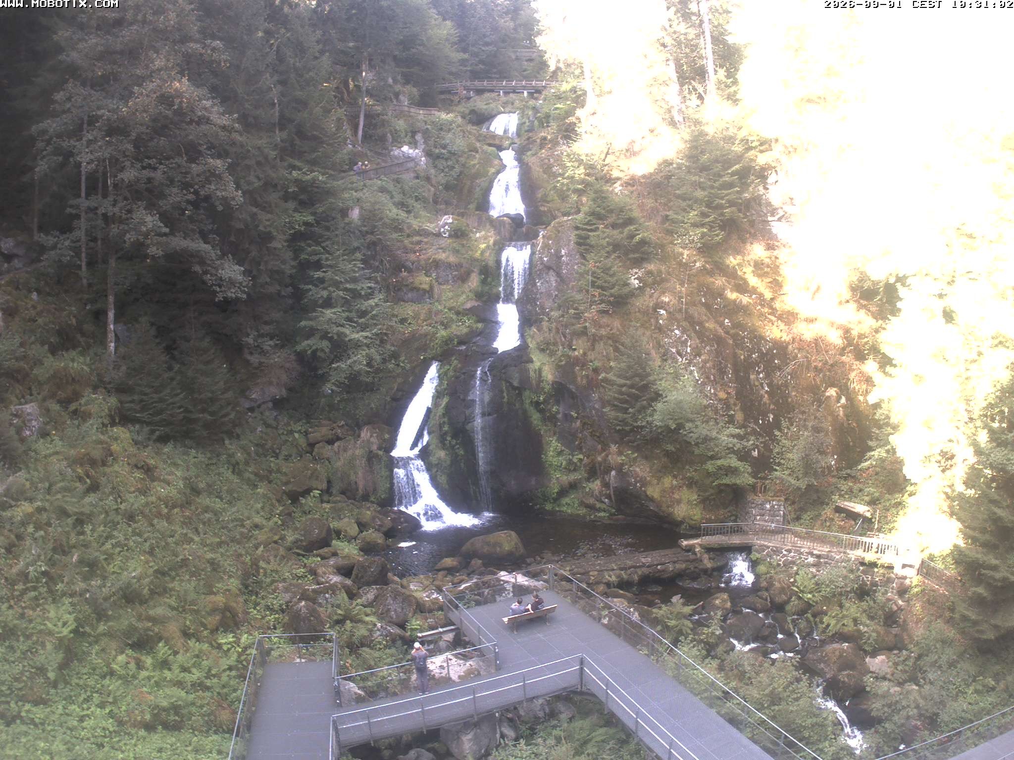 Archiv Foto Webcam Triberg Wasserfälle im Schwarzwald