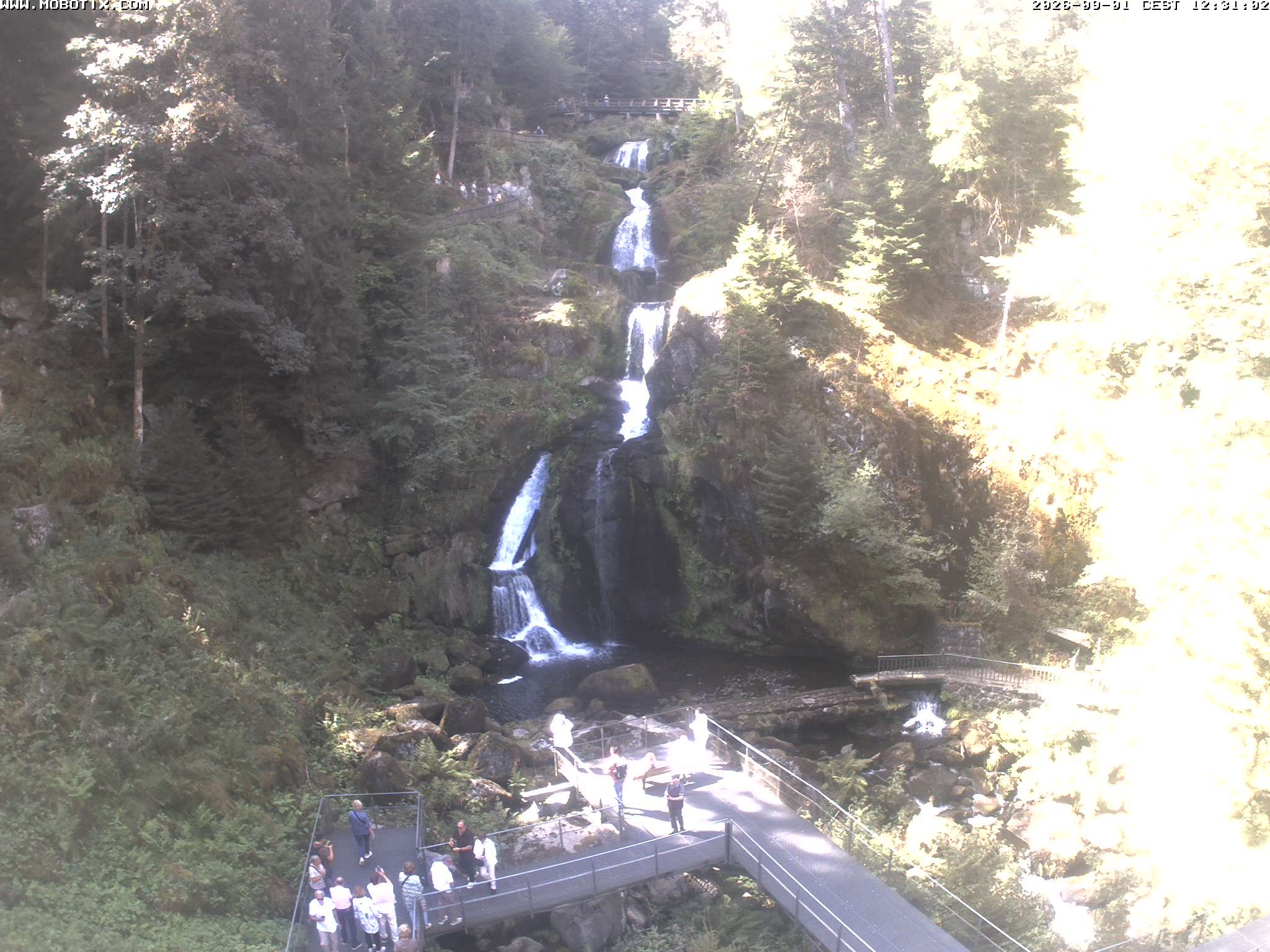 Archiv Foto Webcam Triberg Wasserfälle im Schwarzwald