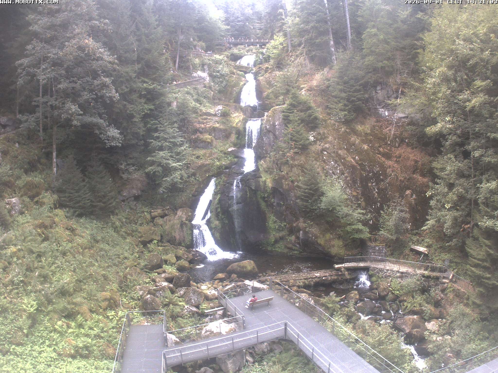 Archiv Foto Webcam Triberg Wasserfälle im Schwarzwald
