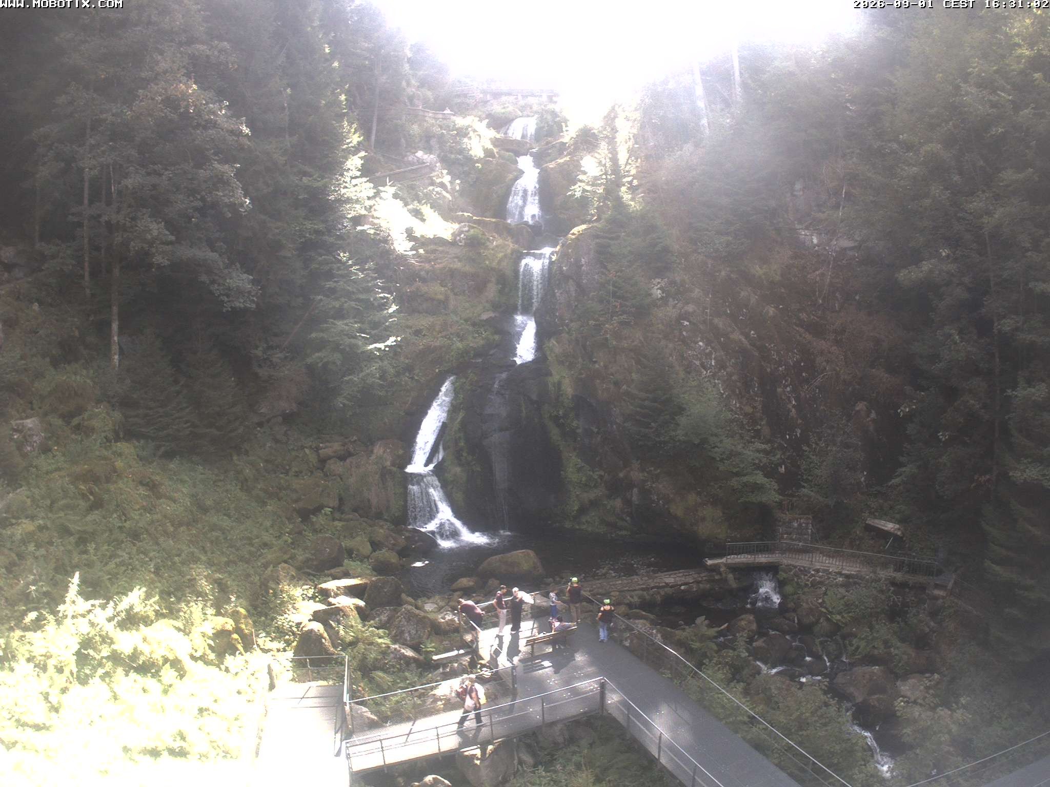 Archiv Foto Webcam Triberg Wasserfälle im Schwarzwald