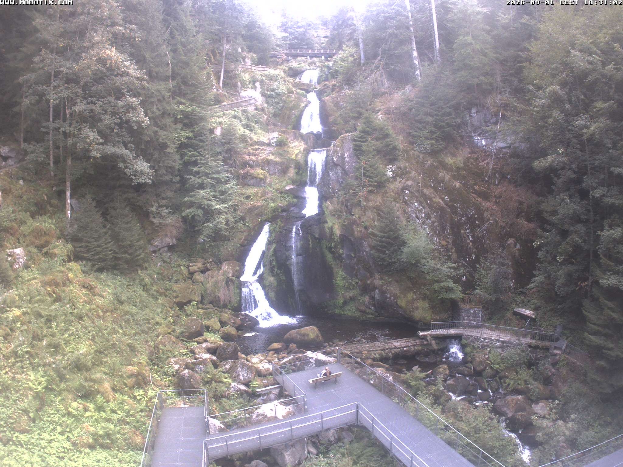 Archiv Foto Webcam Triberg Wasserfälle im Schwarzwald