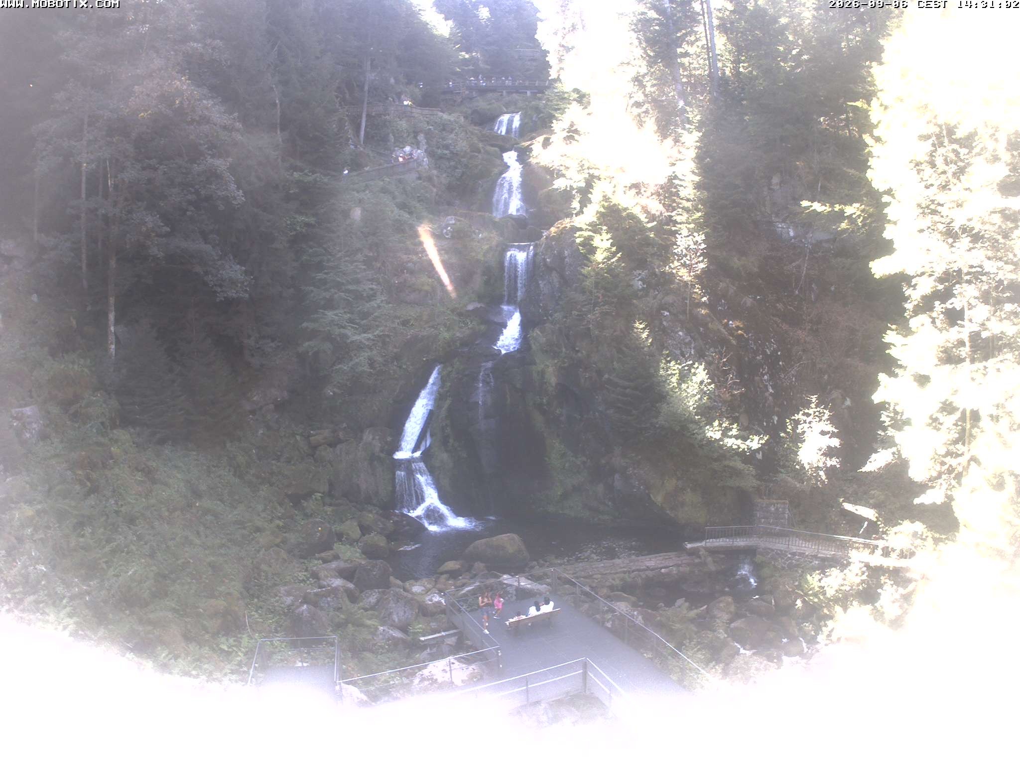Archiv Foto Webcam Triberg Wasserfälle im Schwarzwald
