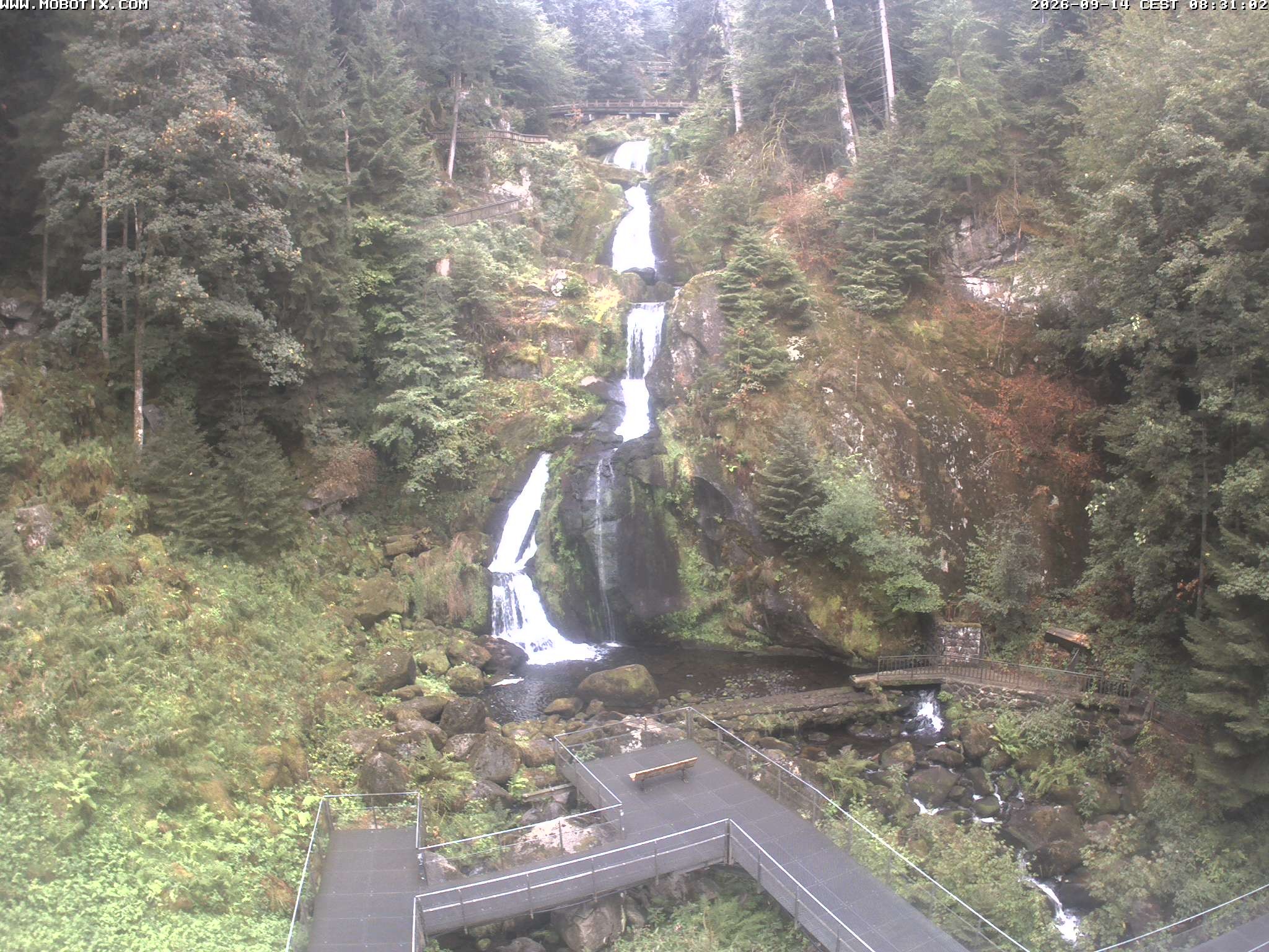 Archiv Foto Webcam Triberg Wasserfälle im Schwarzwald