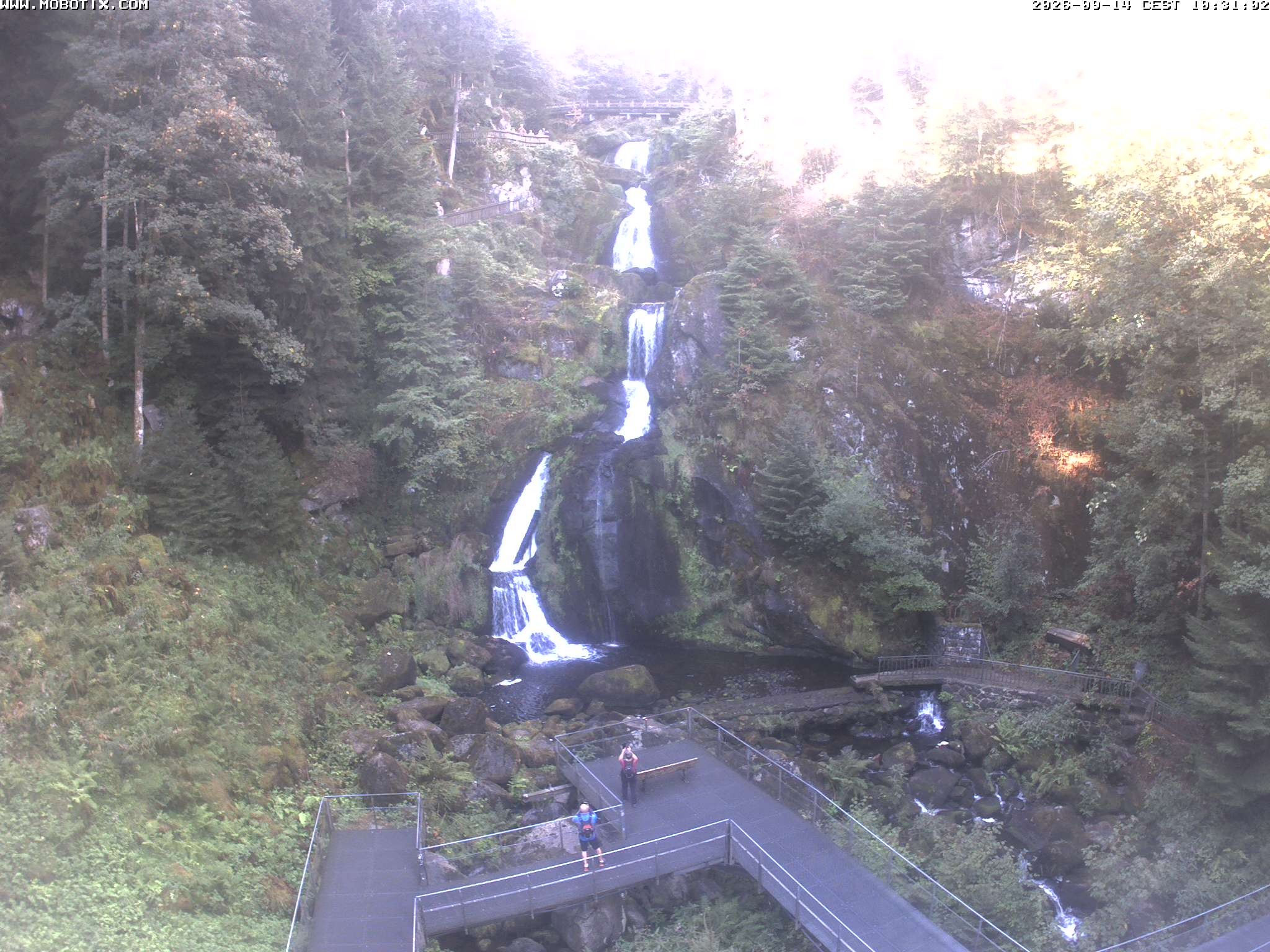 Archiv Foto Webcam Triberg Wasserfälle im Schwarzwald