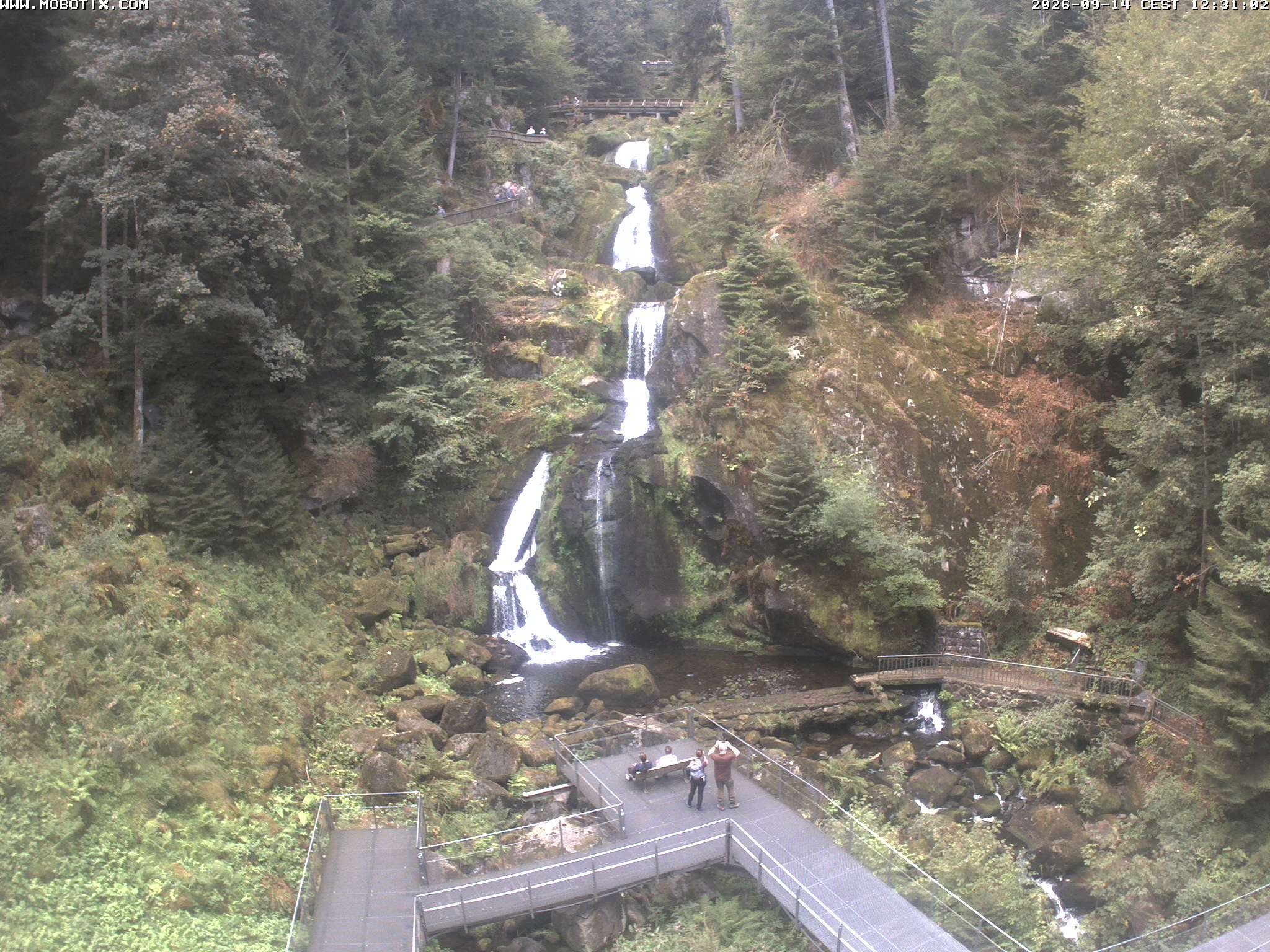 Archiv Foto Webcam Triberg Wasserfälle im Schwarzwald