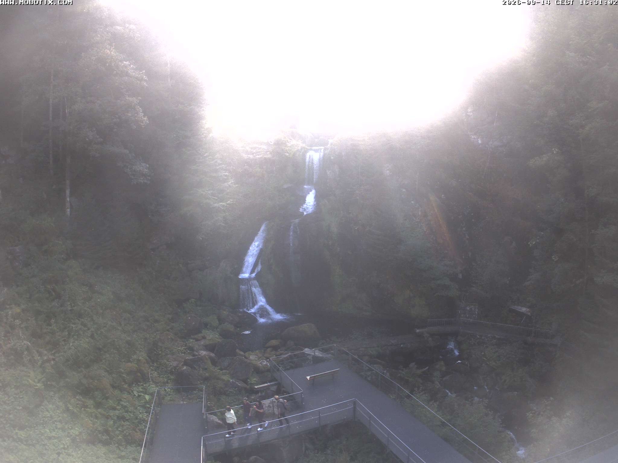 Archiv Foto Webcam Triberg Wasserfälle im Schwarzwald