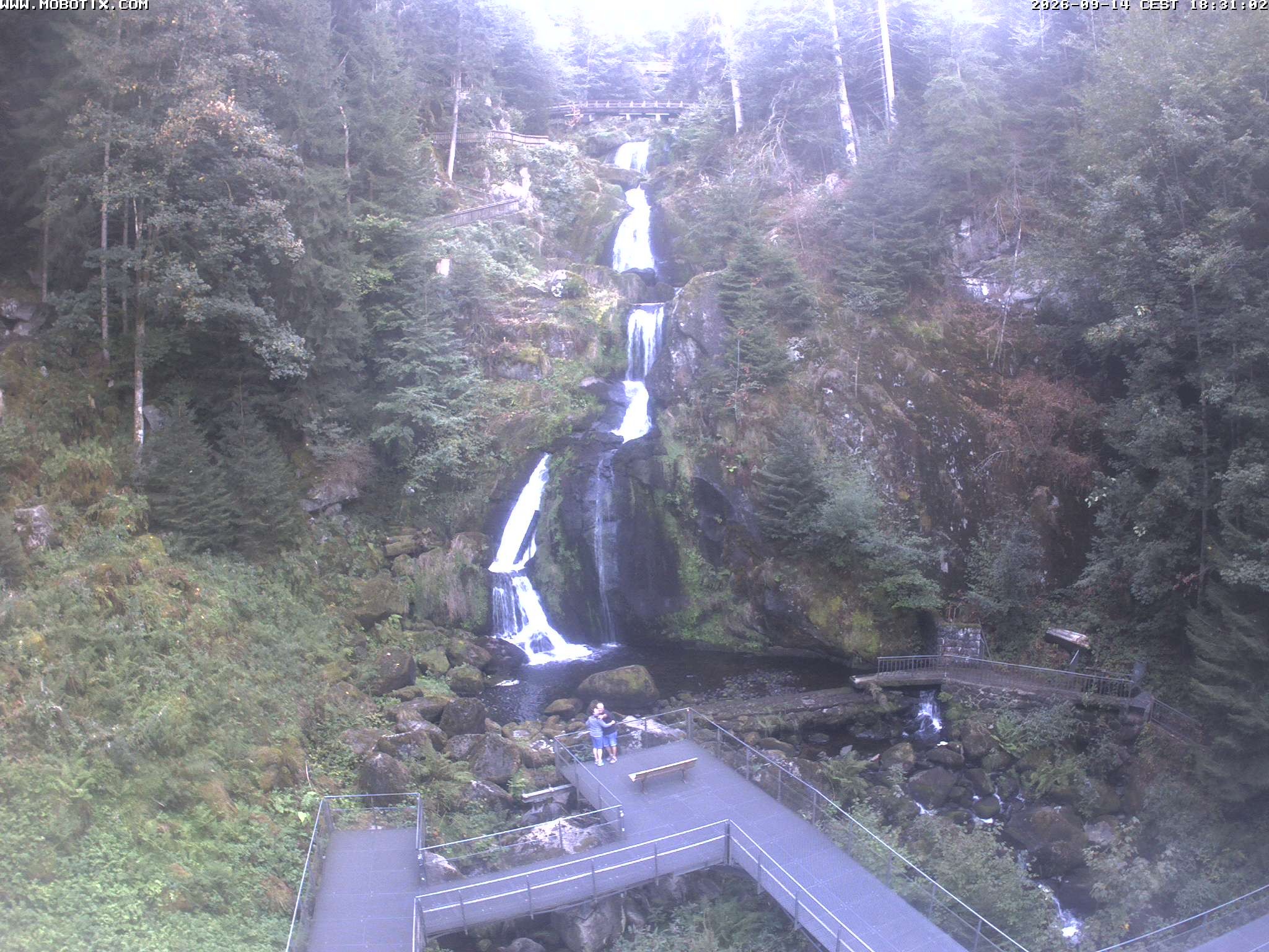 Archiv Foto Webcam Triberg Wasserfälle im Schwarzwald