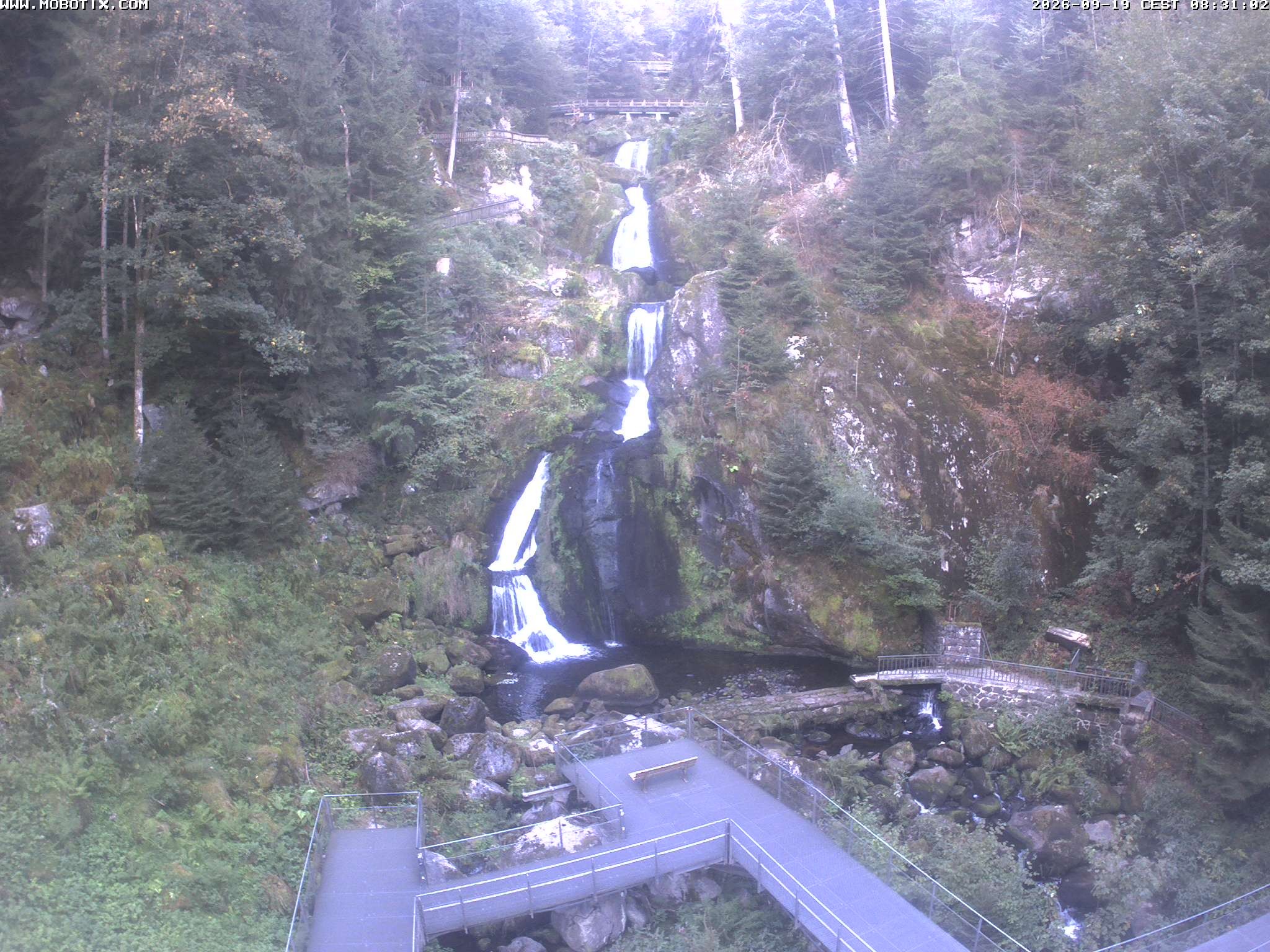 Archiv Foto Webcam Triberg Wasserfälle im Schwarzwald