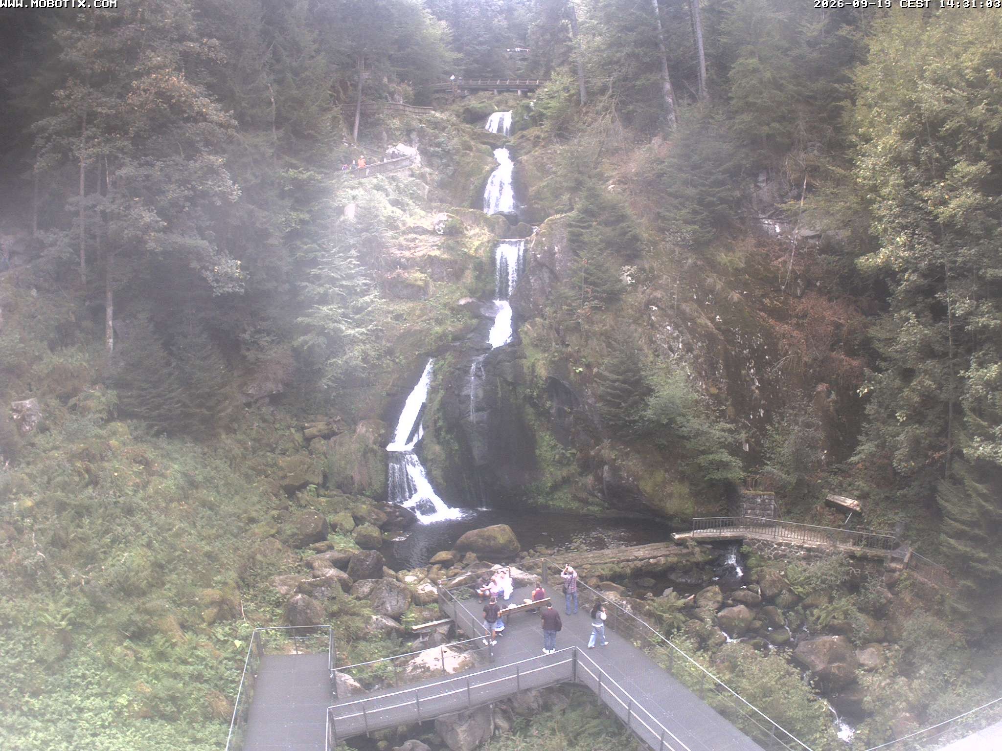 Archiv Foto Webcam Triberg Wasserfälle im Schwarzwald