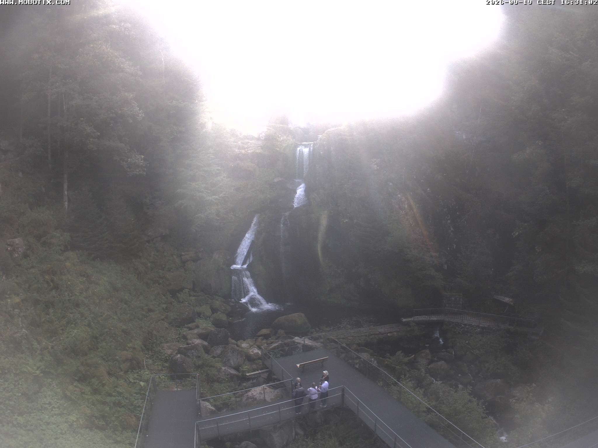 Archiv Foto Webcam Triberg Wasserfälle im Schwarzwald