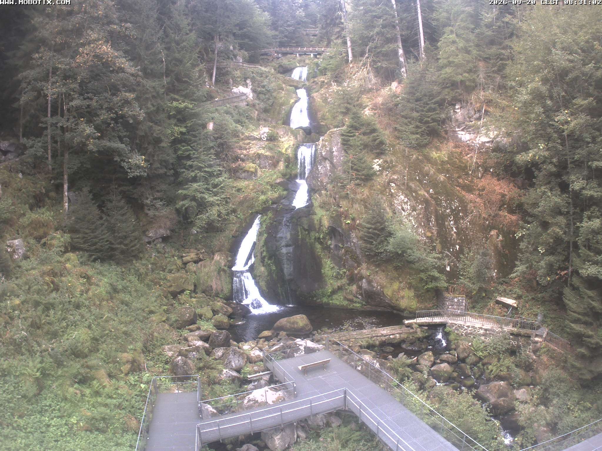 Archiv Foto Webcam Triberg Wasserfälle im Schwarzwald