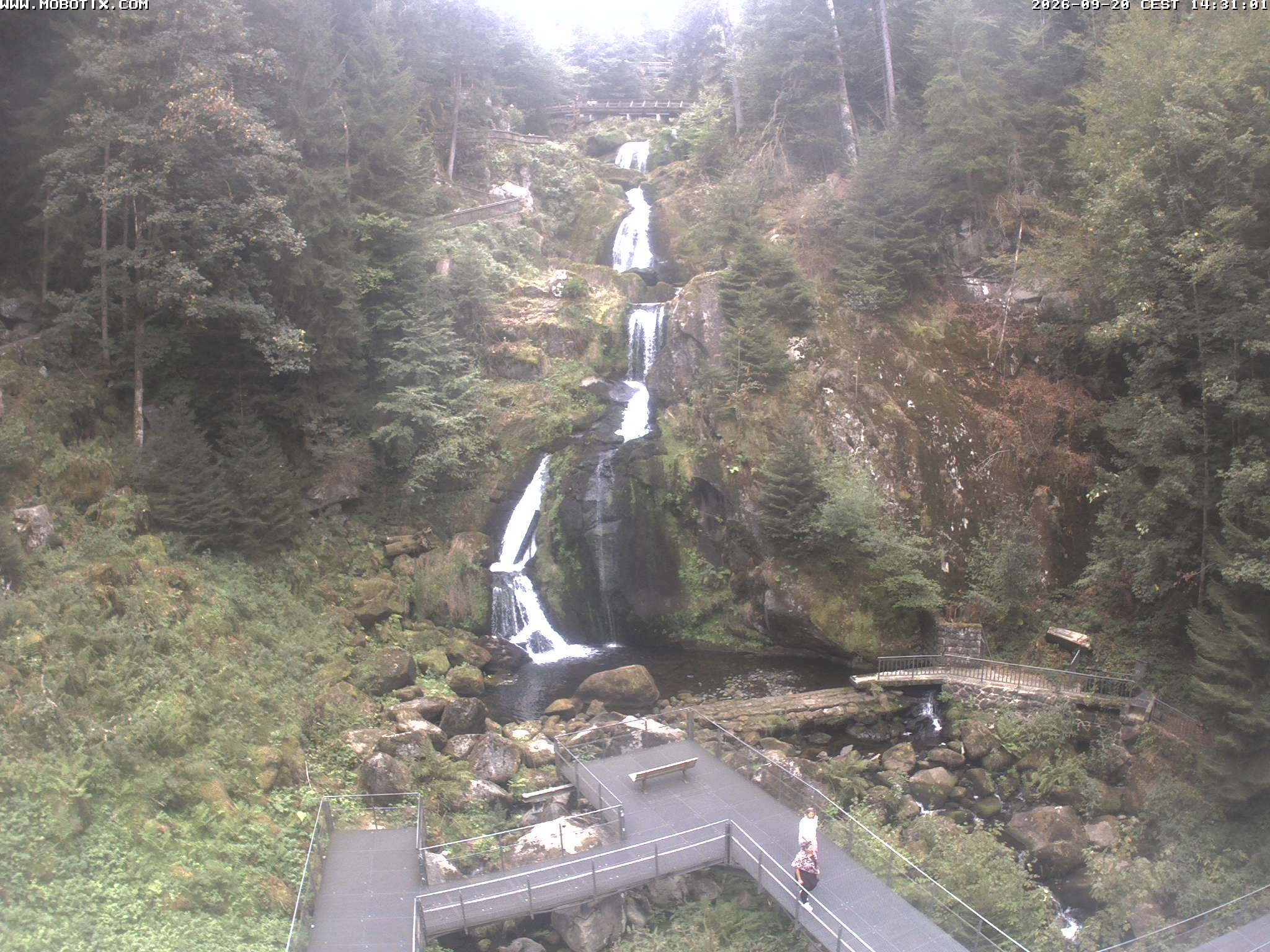 Archiv Foto Webcam Triberg Wasserfälle im Schwarzwald
