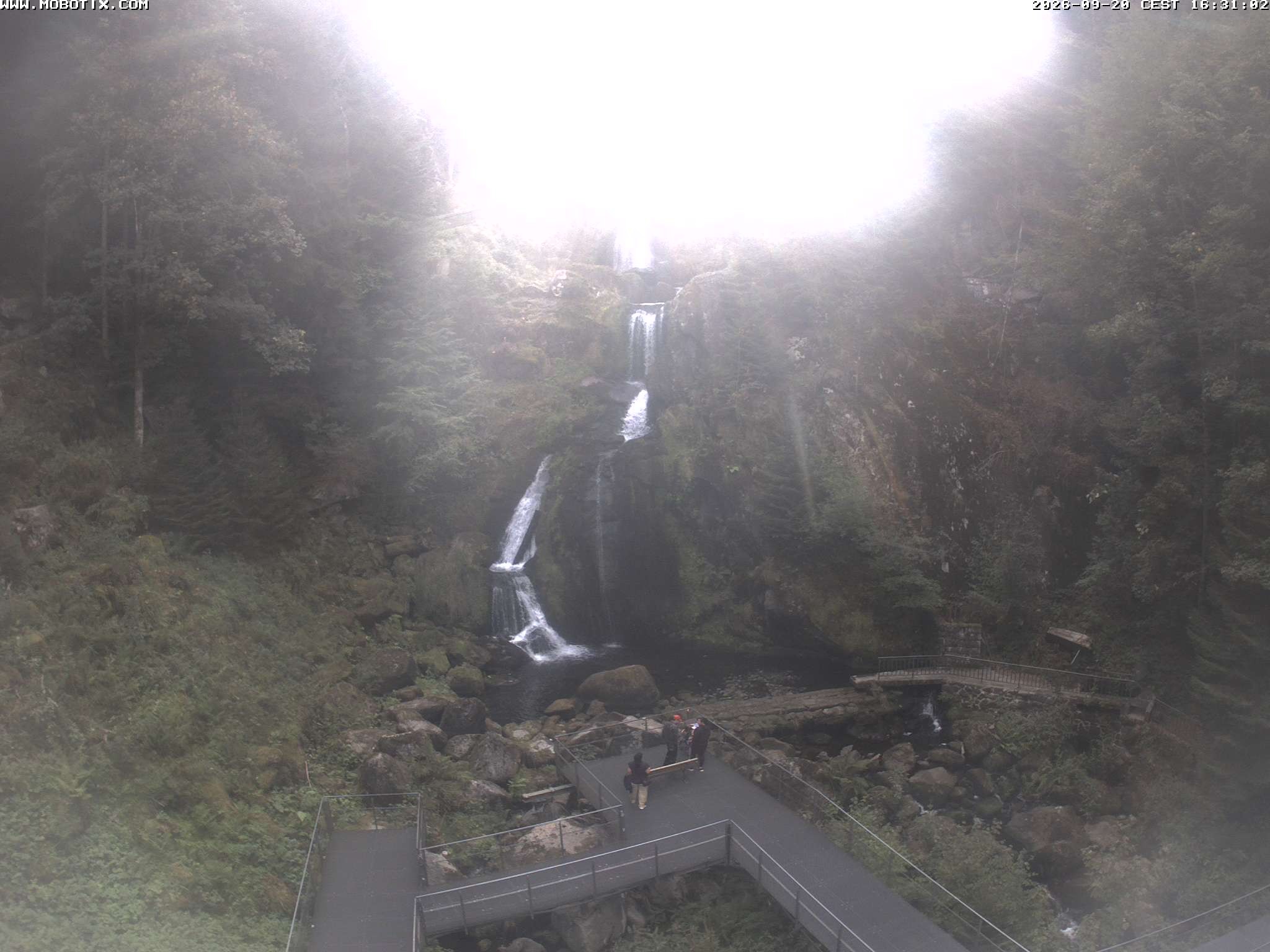 Archiv Foto Webcam Triberg Wasserfälle im Schwarzwald