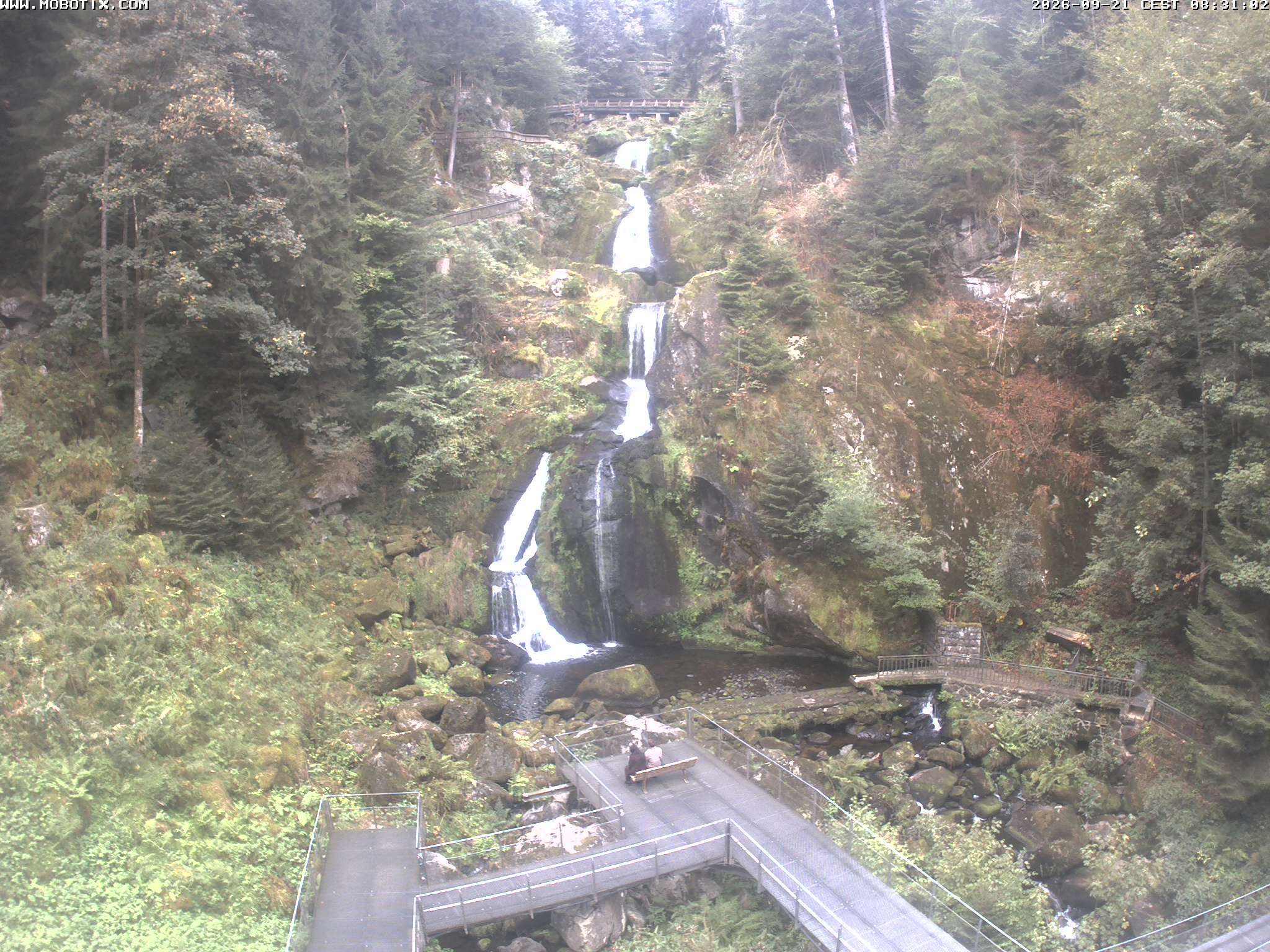 Archiv Foto Webcam Triberg Wasserfälle im Schwarzwald