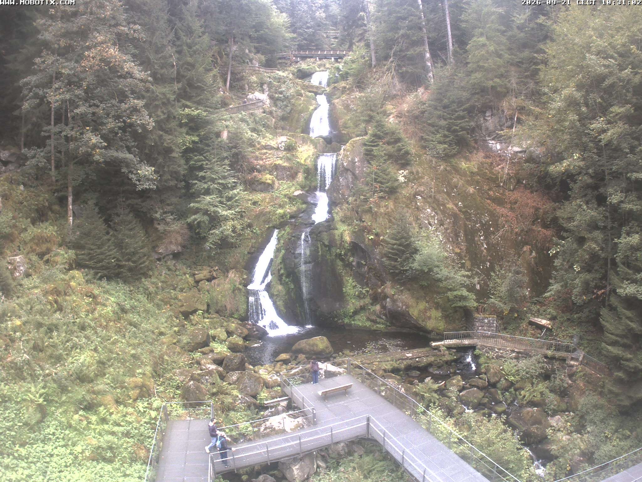 Archiv Foto Webcam Triberg Wasserfälle im Schwarzwald