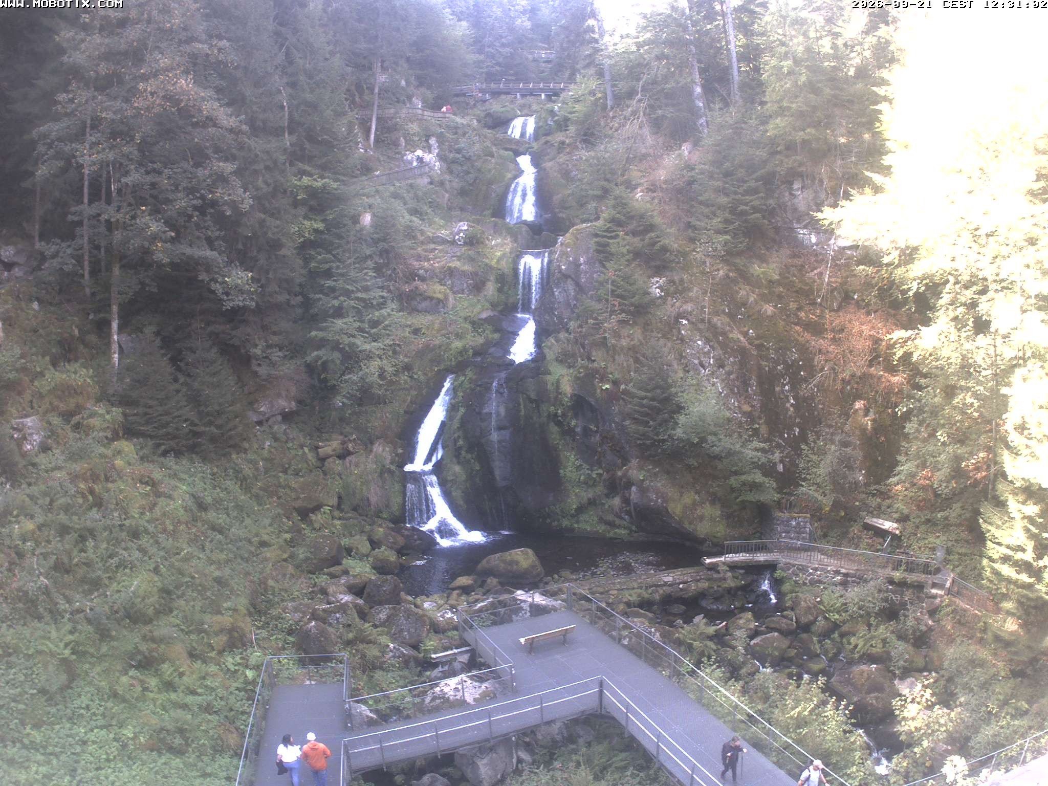 Archiv Foto Webcam Triberg Wasserfälle im Schwarzwald