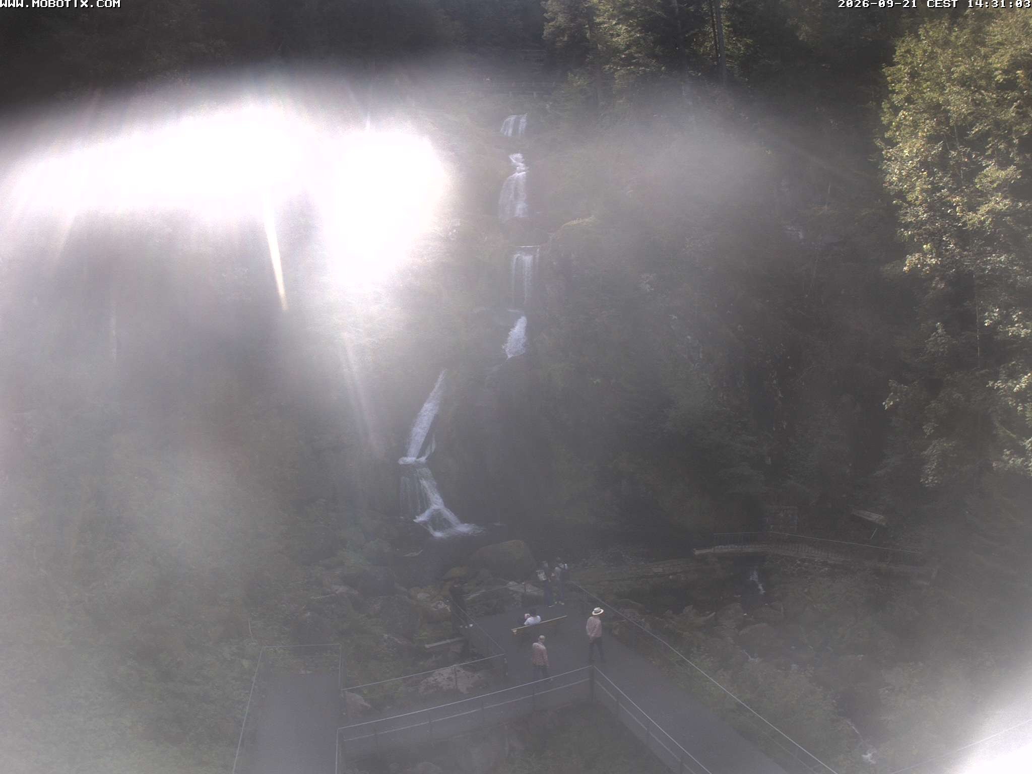 Archiv Foto Webcam Triberg Wasserfälle im Schwarzwald