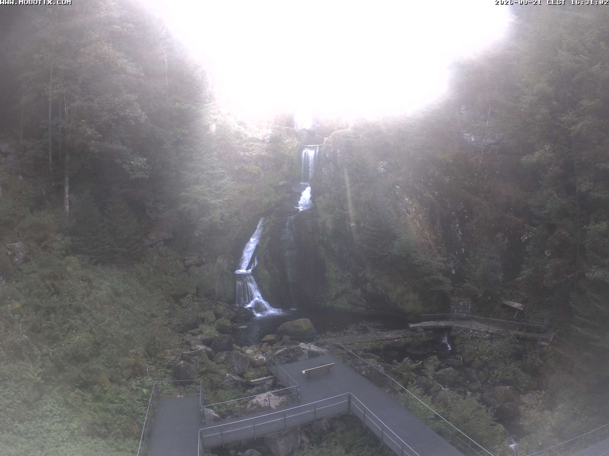 Archiv Foto Webcam Triberg Wasserfälle im Schwarzwald