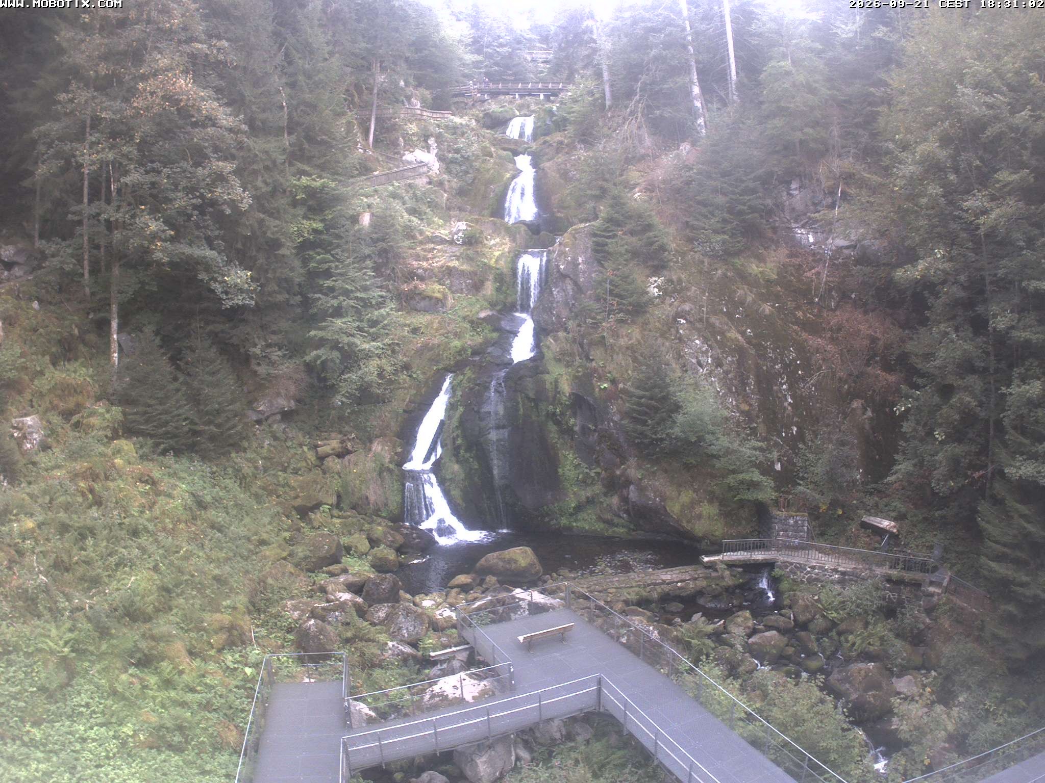 Archiv Foto Webcam Triberg Wasserfälle im Schwarzwald