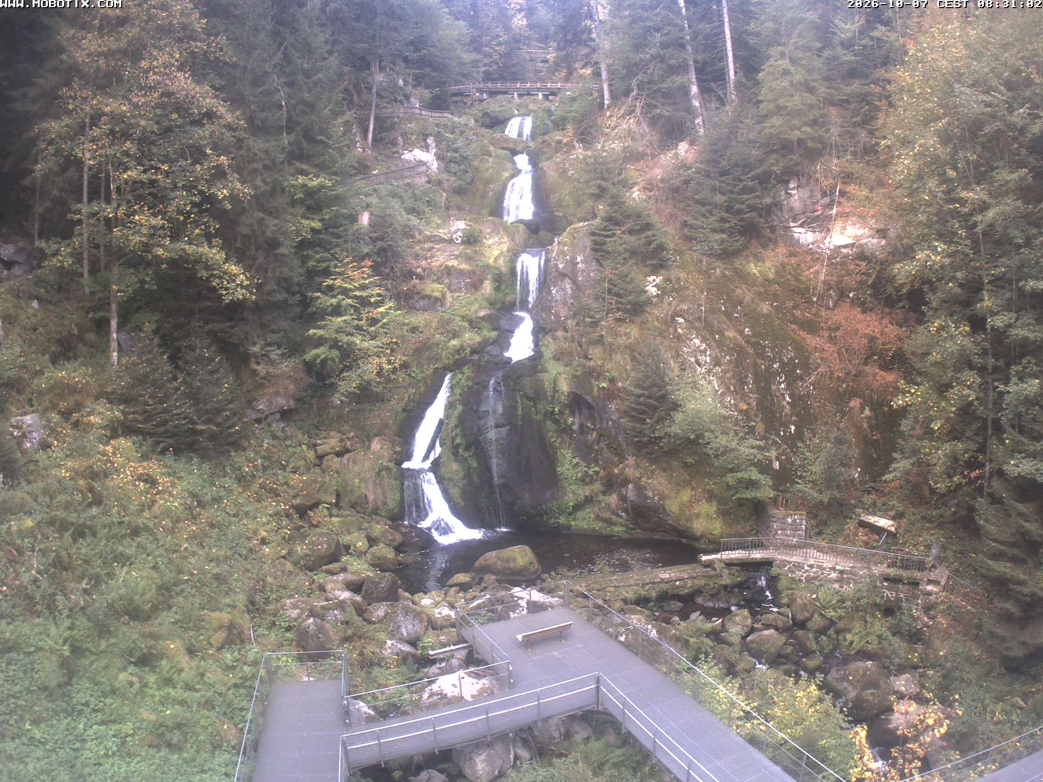 Archived image Webcam Triberg (Black Forest): Waterfalls