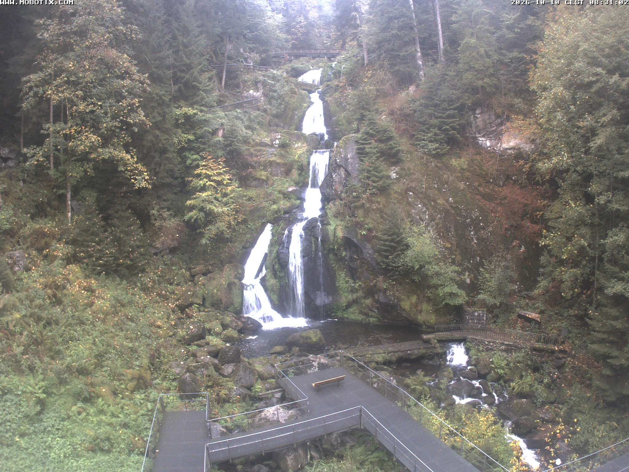 Archiv Foto Webcam Triberg Wasserfälle im Schwarzwald