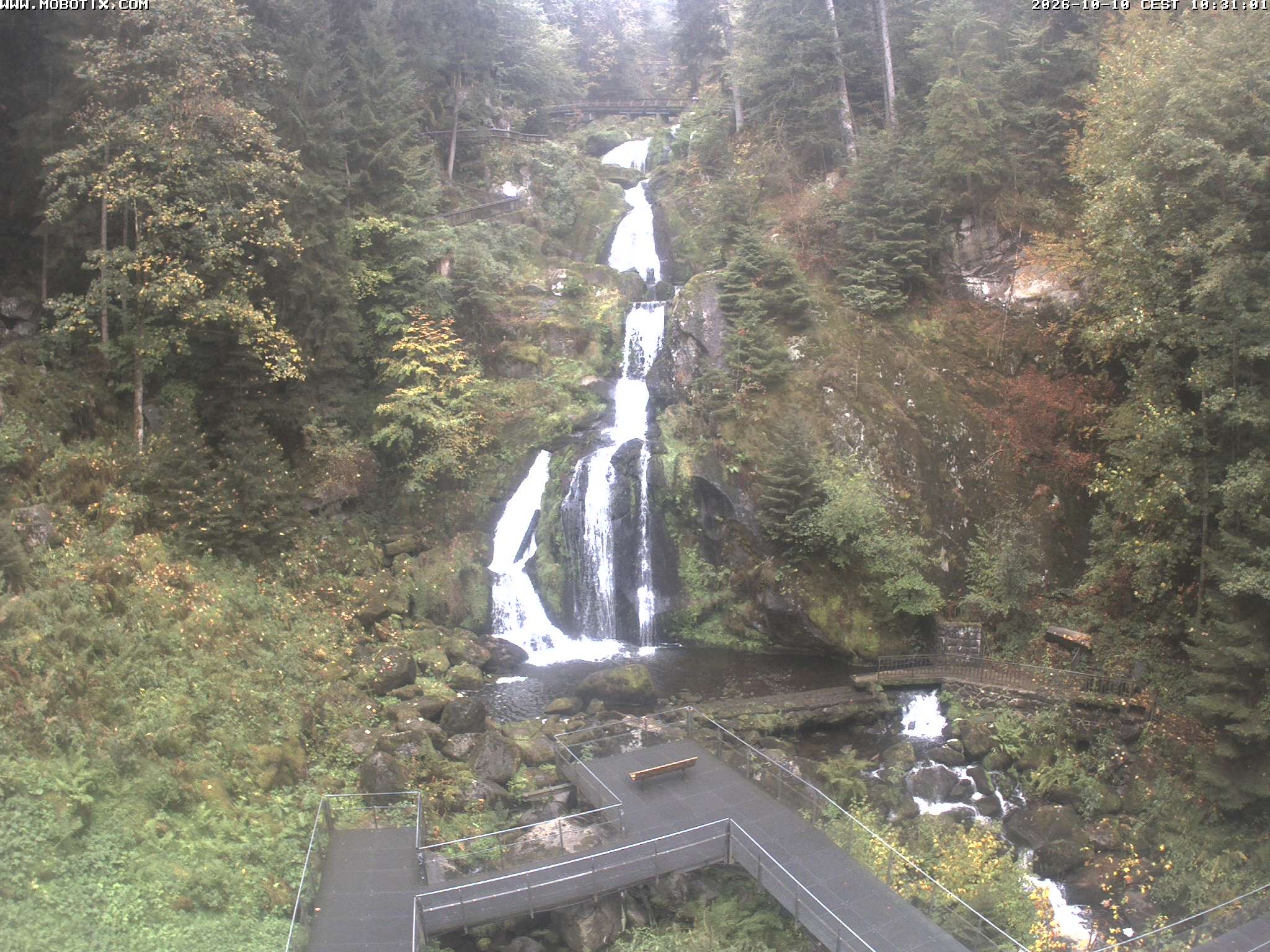 Archiv Foto Webcam Triberg Wasserfälle im Schwarzwald