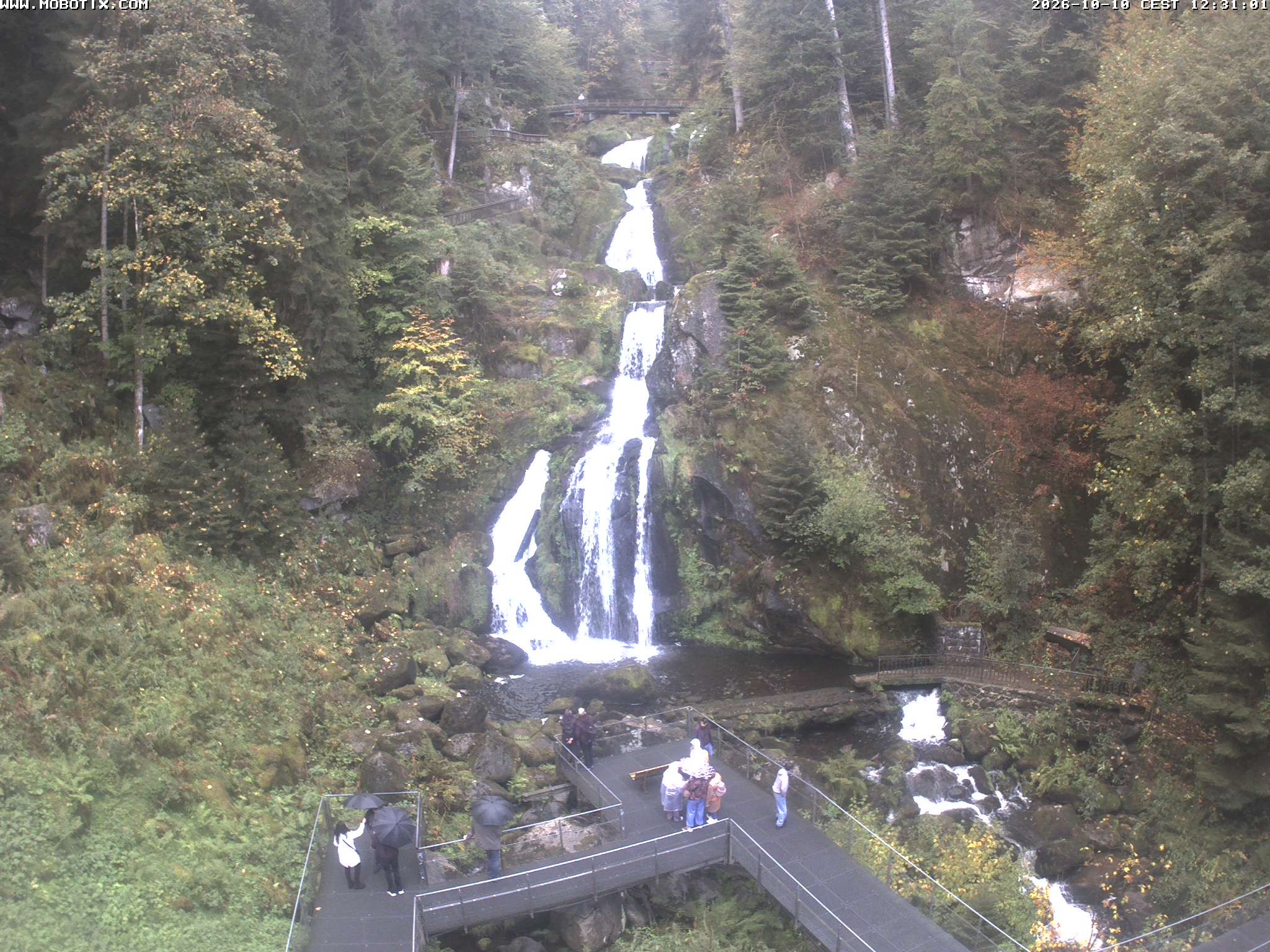 Archiv Foto Webcam Triberg Wasserfälle im Schwarzwald