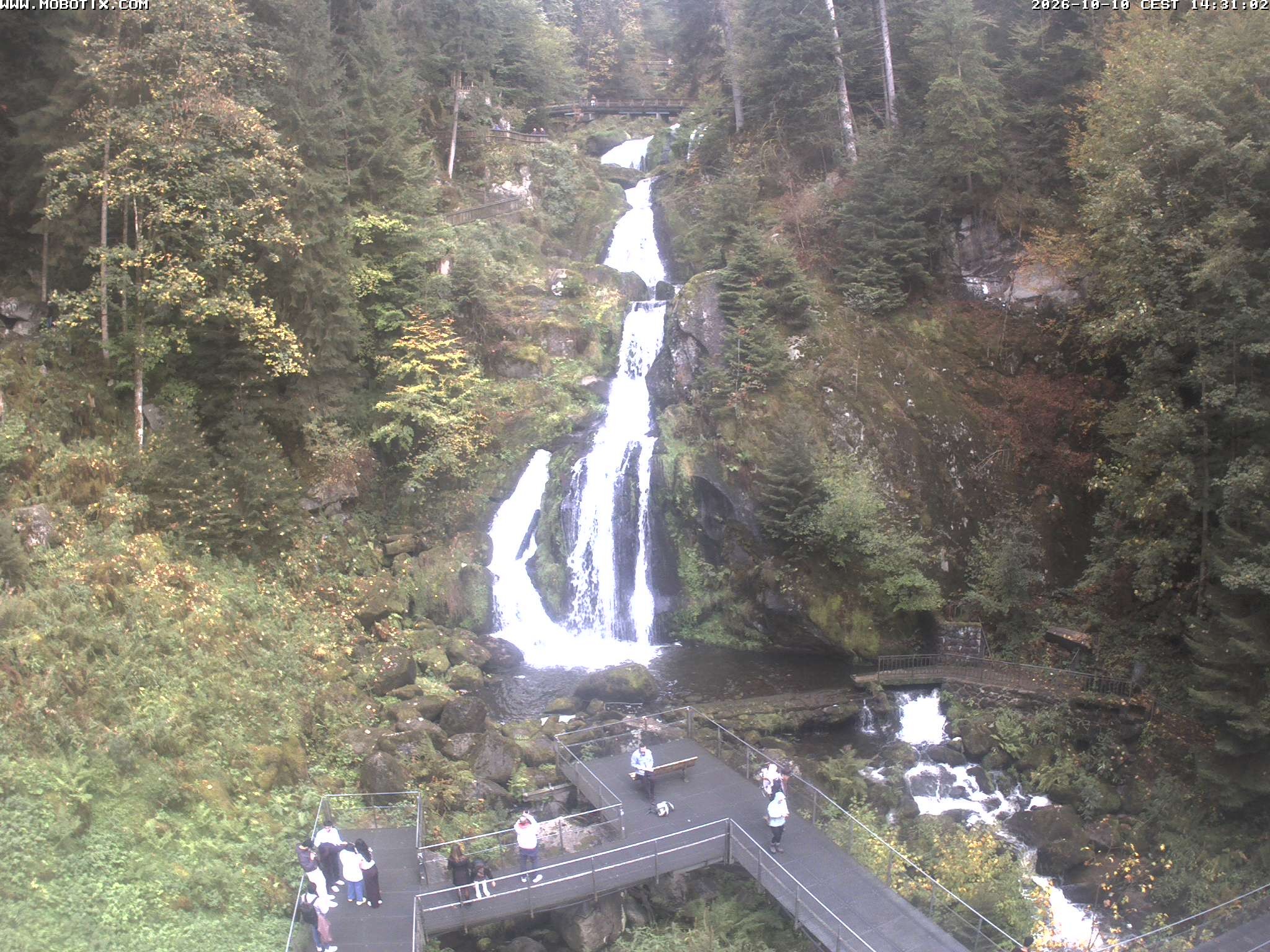 Archiv Foto Webcam Triberg Wasserfälle im Schwarzwald