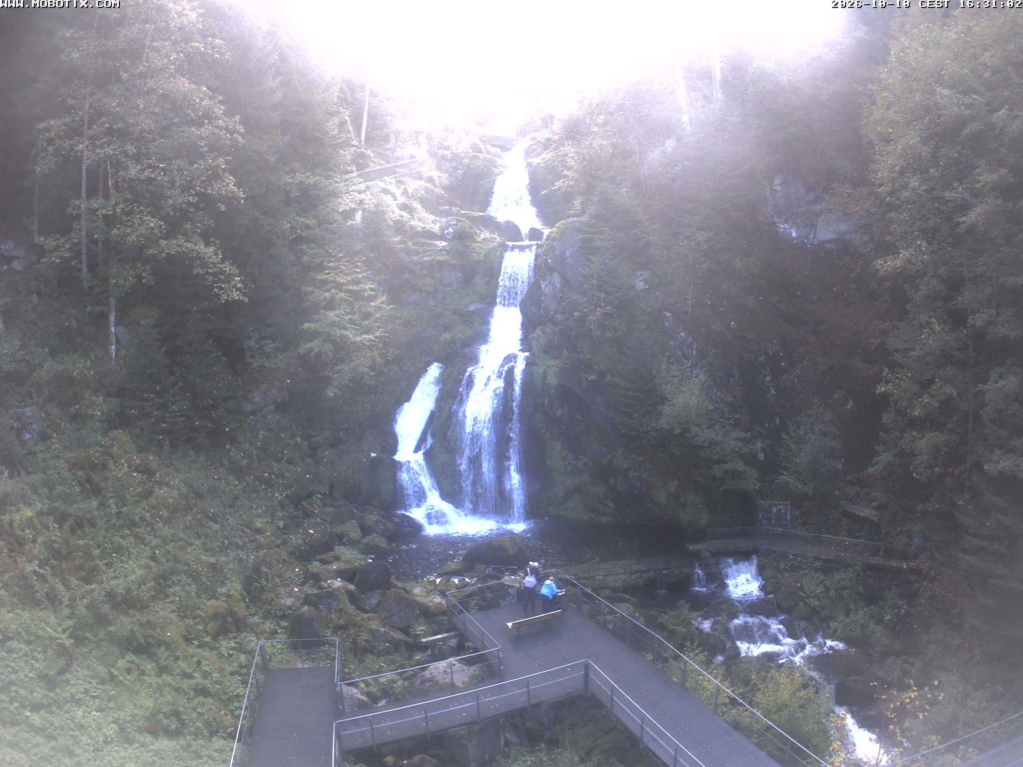 Archiv Foto Webcam Triberg Wasserfälle im Schwarzwald