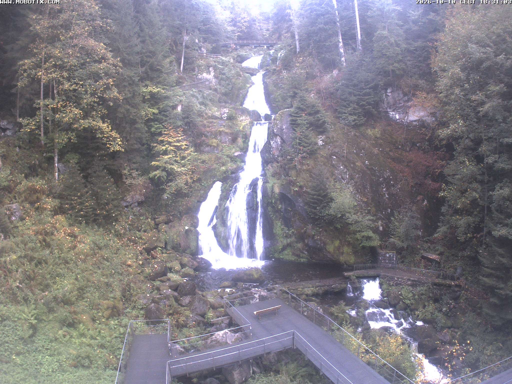 Archiv Foto Webcam Triberg Wasserfälle im Schwarzwald