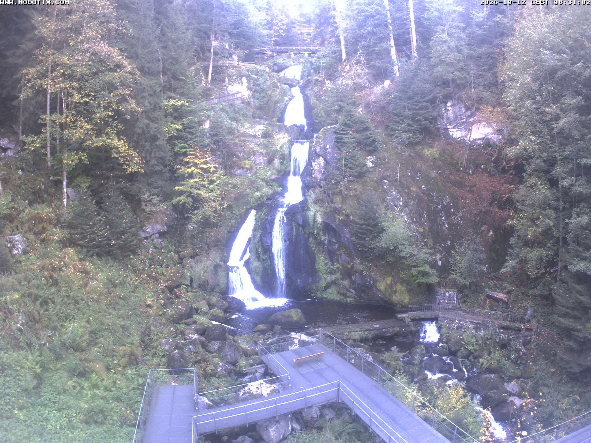 Archived image Webcam Triberg (Black Forest): Waterfalls