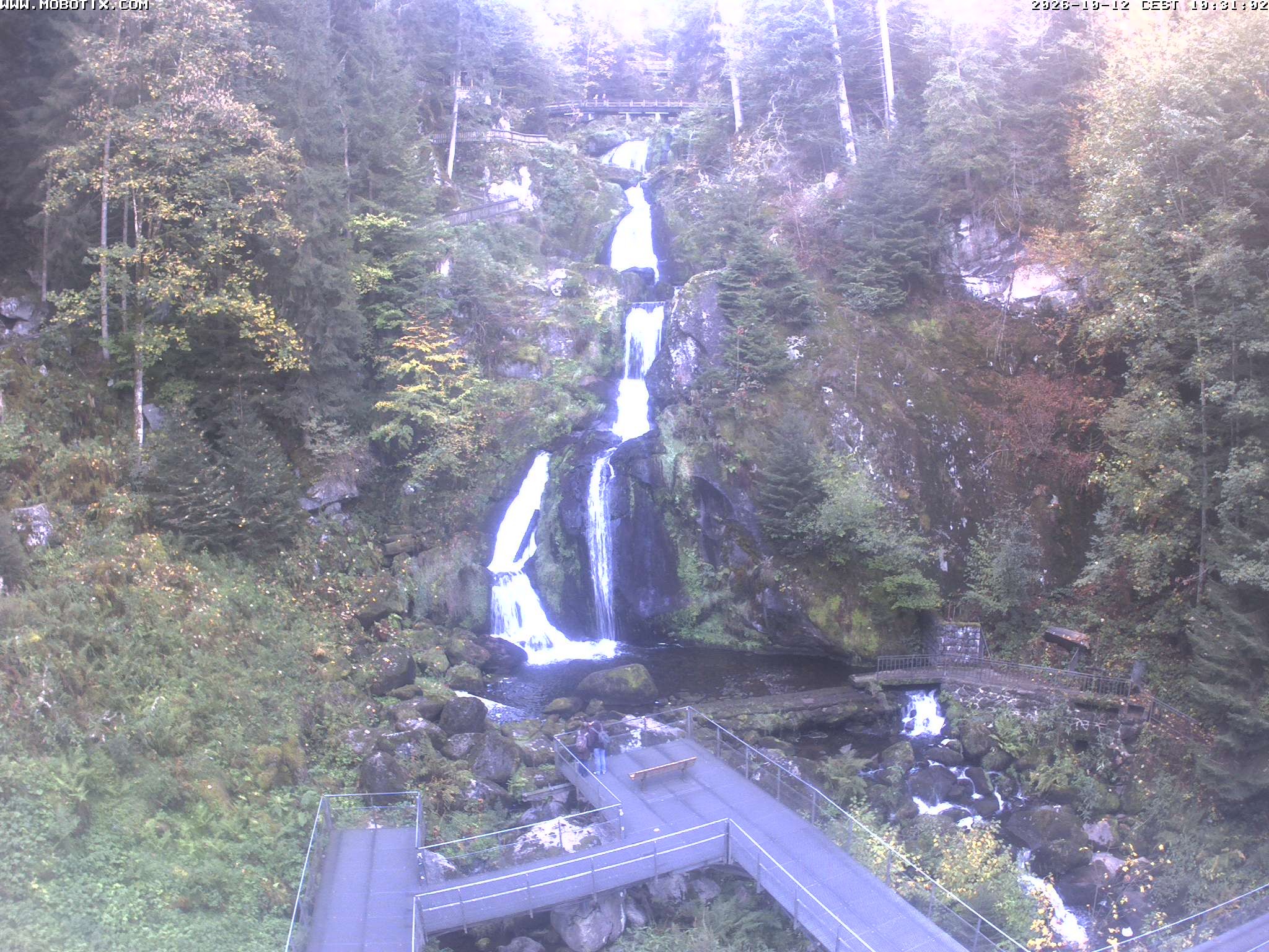 Archived image Webcam Triberg (Black Forest): Waterfalls