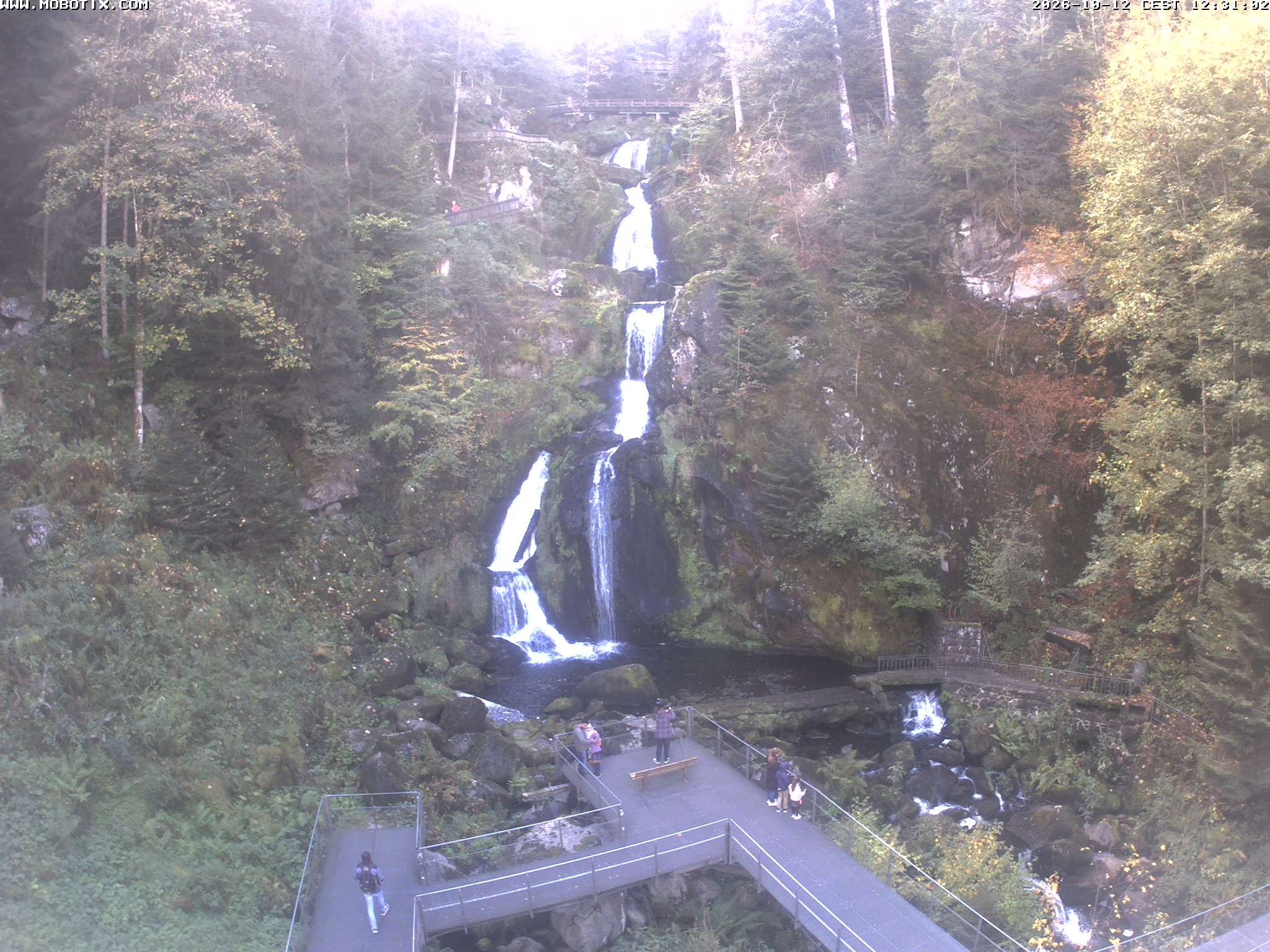 Archived image Webcam Triberg (Black Forest): Waterfalls