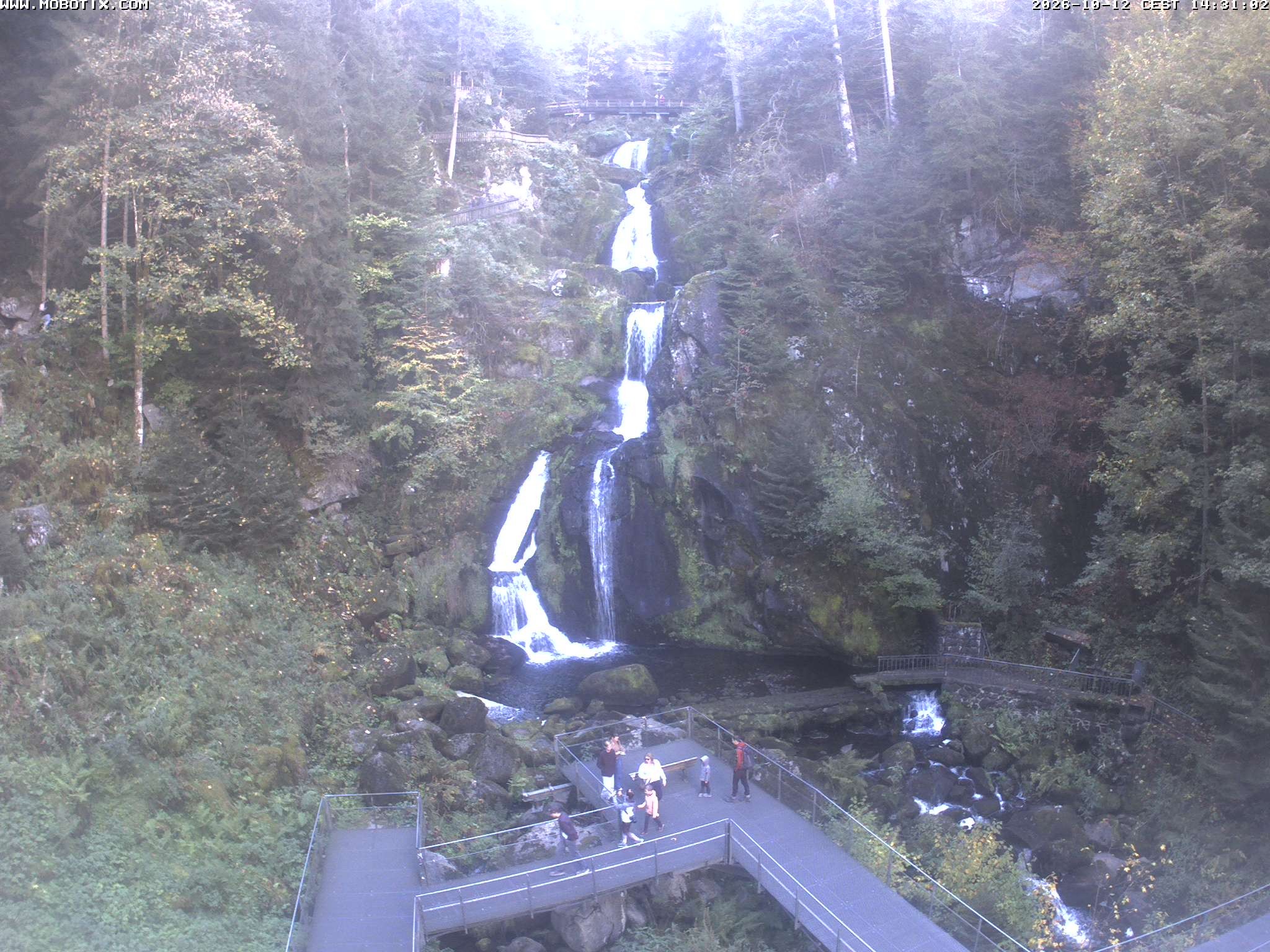 Archived image Webcam Triberg (Black Forest): Waterfalls