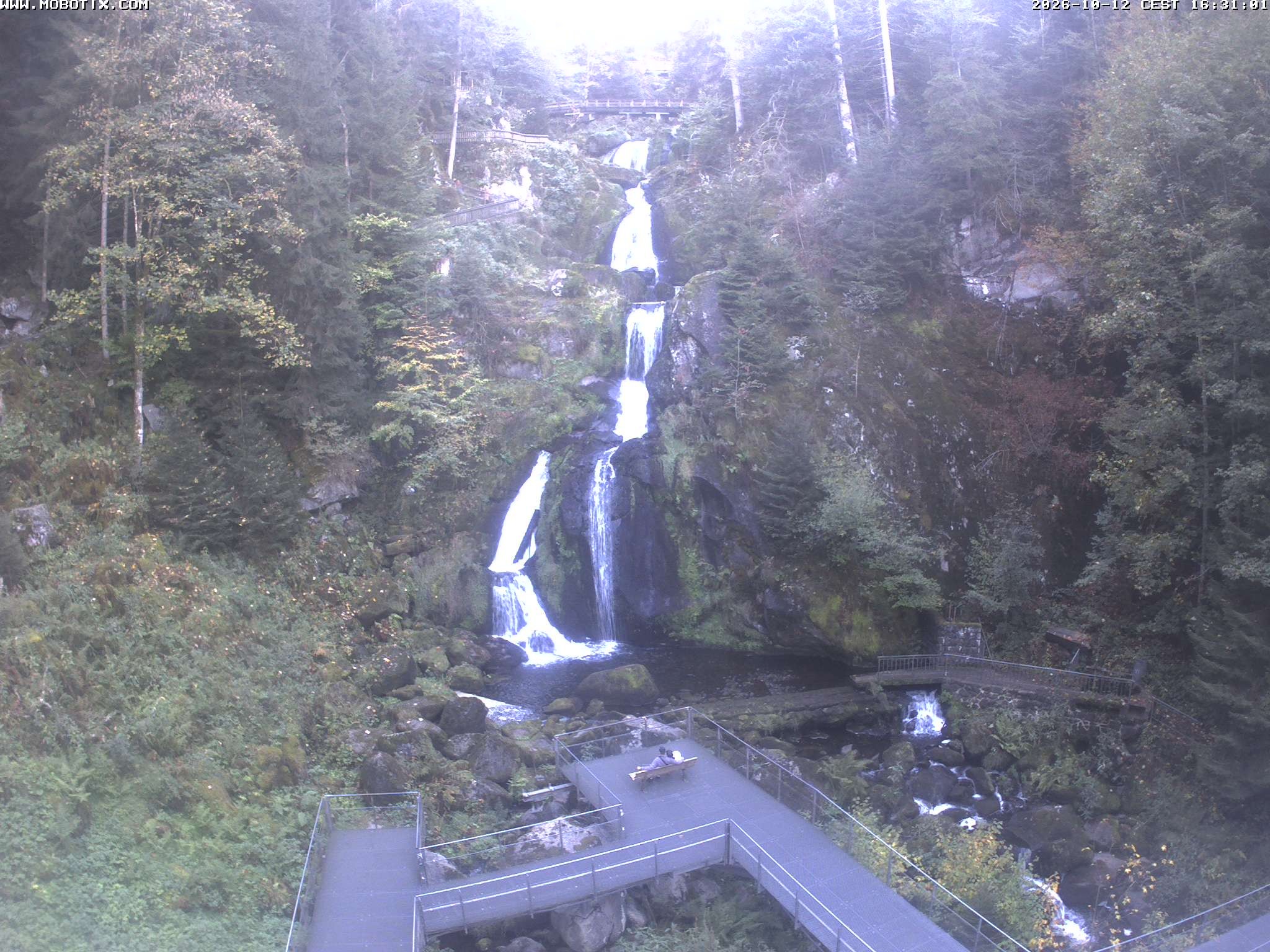 Archived image Webcam Triberg (Black Forest): Waterfalls