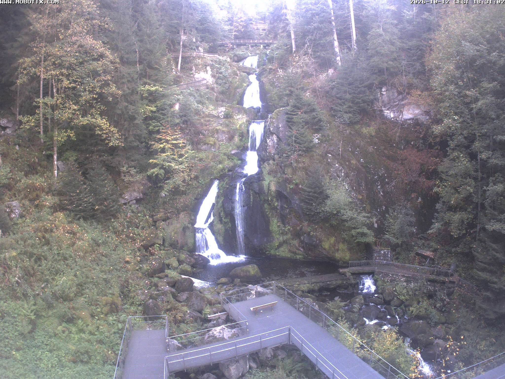 Archived image Webcam Triberg (Black Forest): Waterfalls