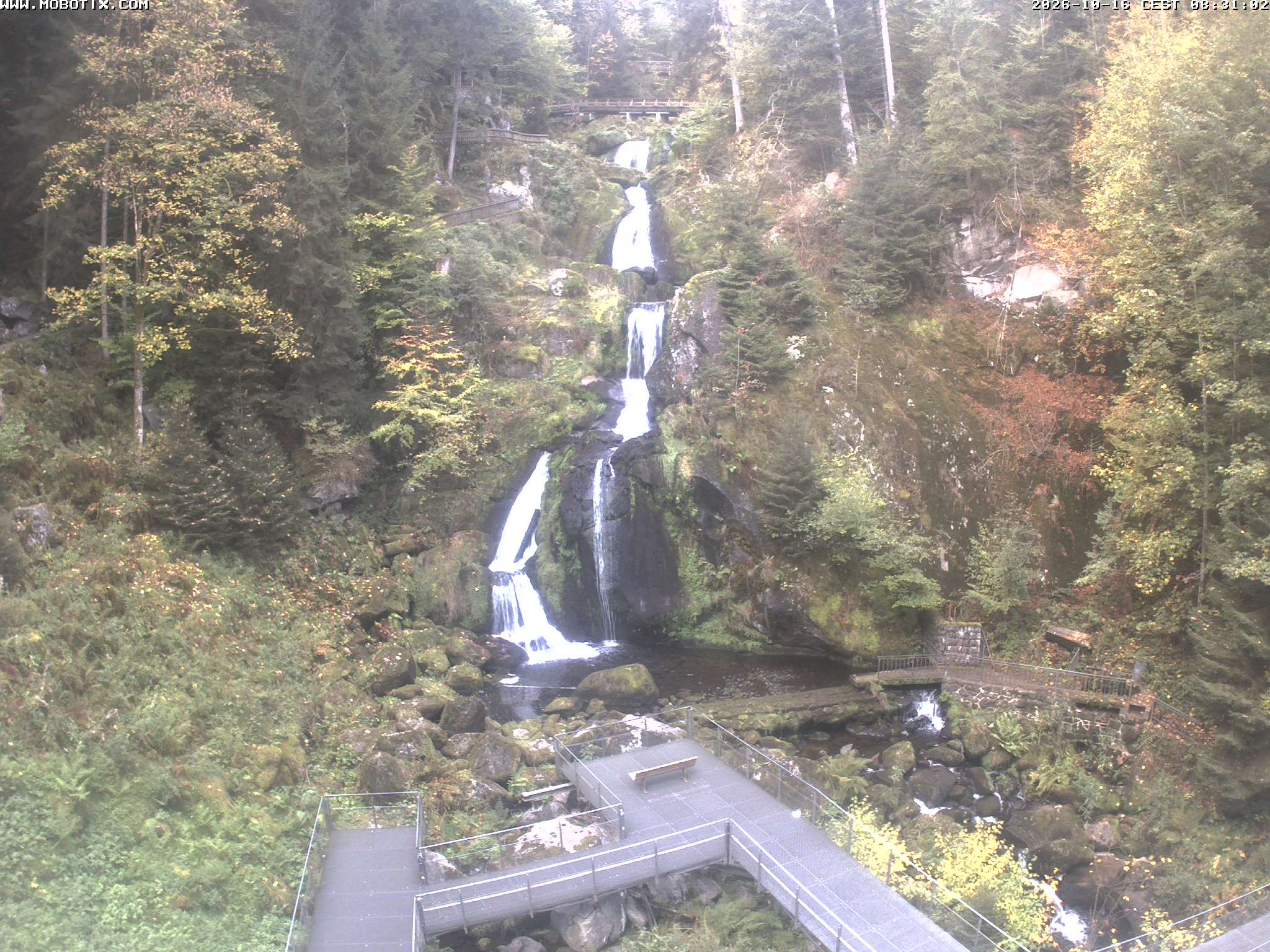 Archived image Webcam Triberg (Black Forest): Waterfalls