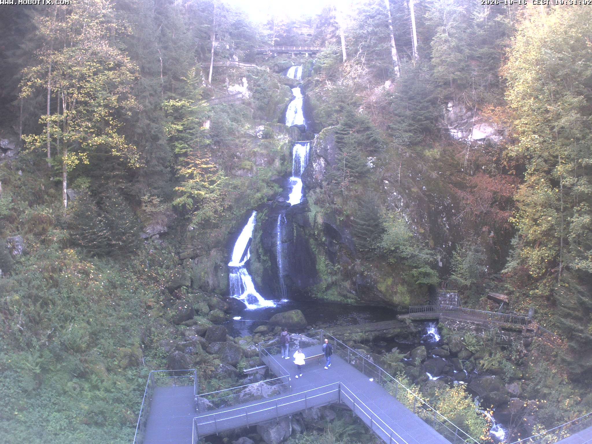 Archived image Webcam Triberg (Black Forest): Waterfalls