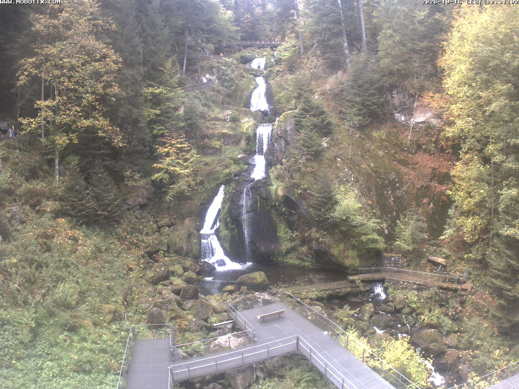 Archived image Webcam Triberg (Black Forest): Waterfalls