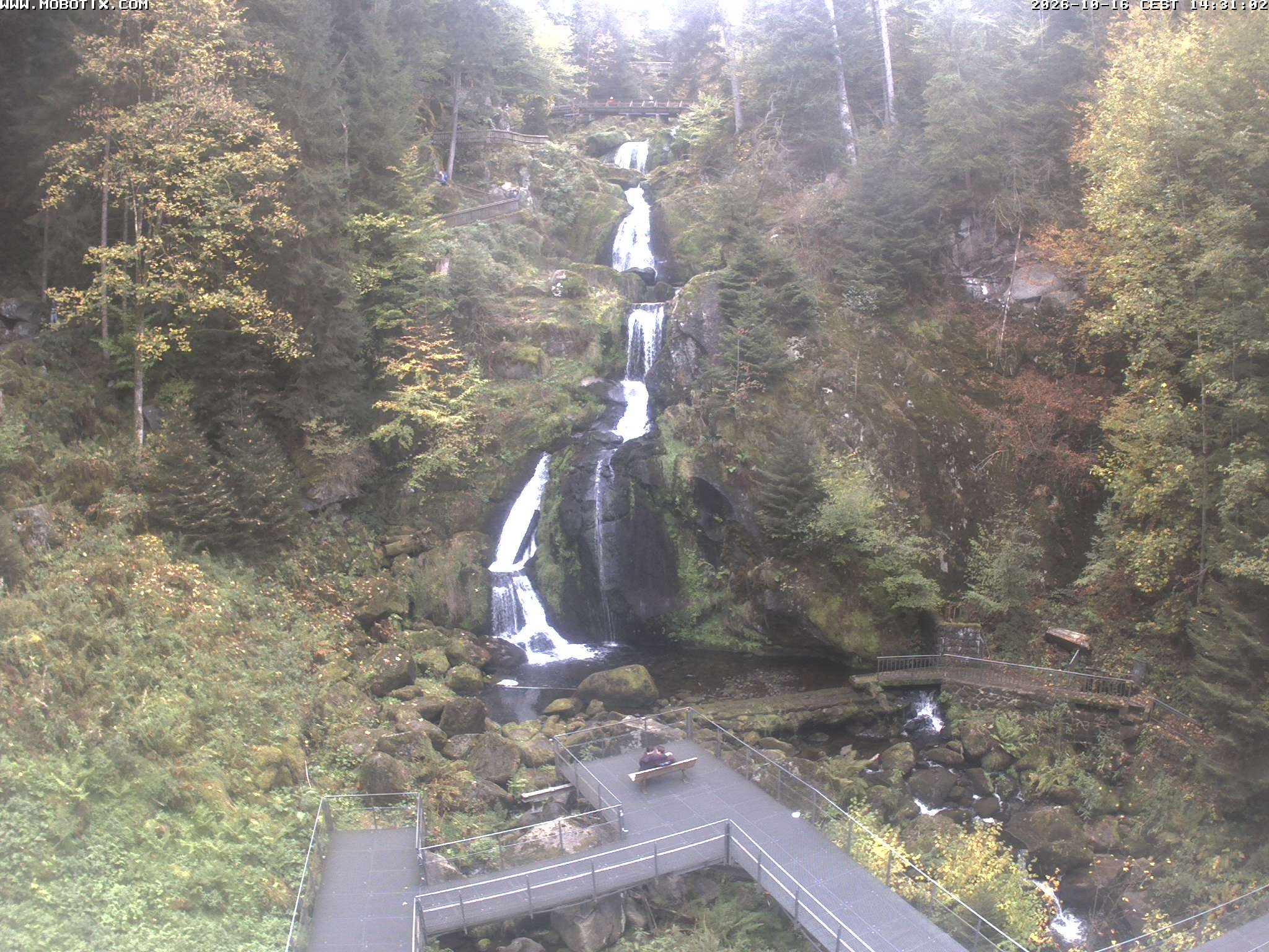 Archived image Webcam Triberg (Black Forest): Waterfalls