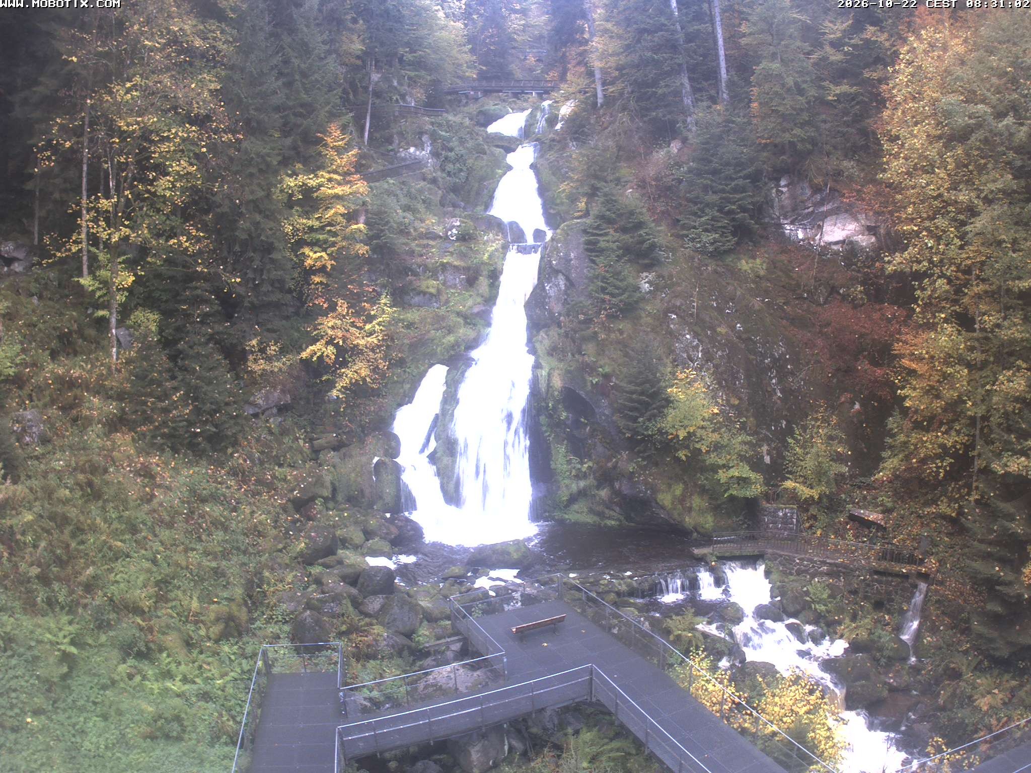 Archived image Webcam Triberg (Black Forest): Waterfalls
