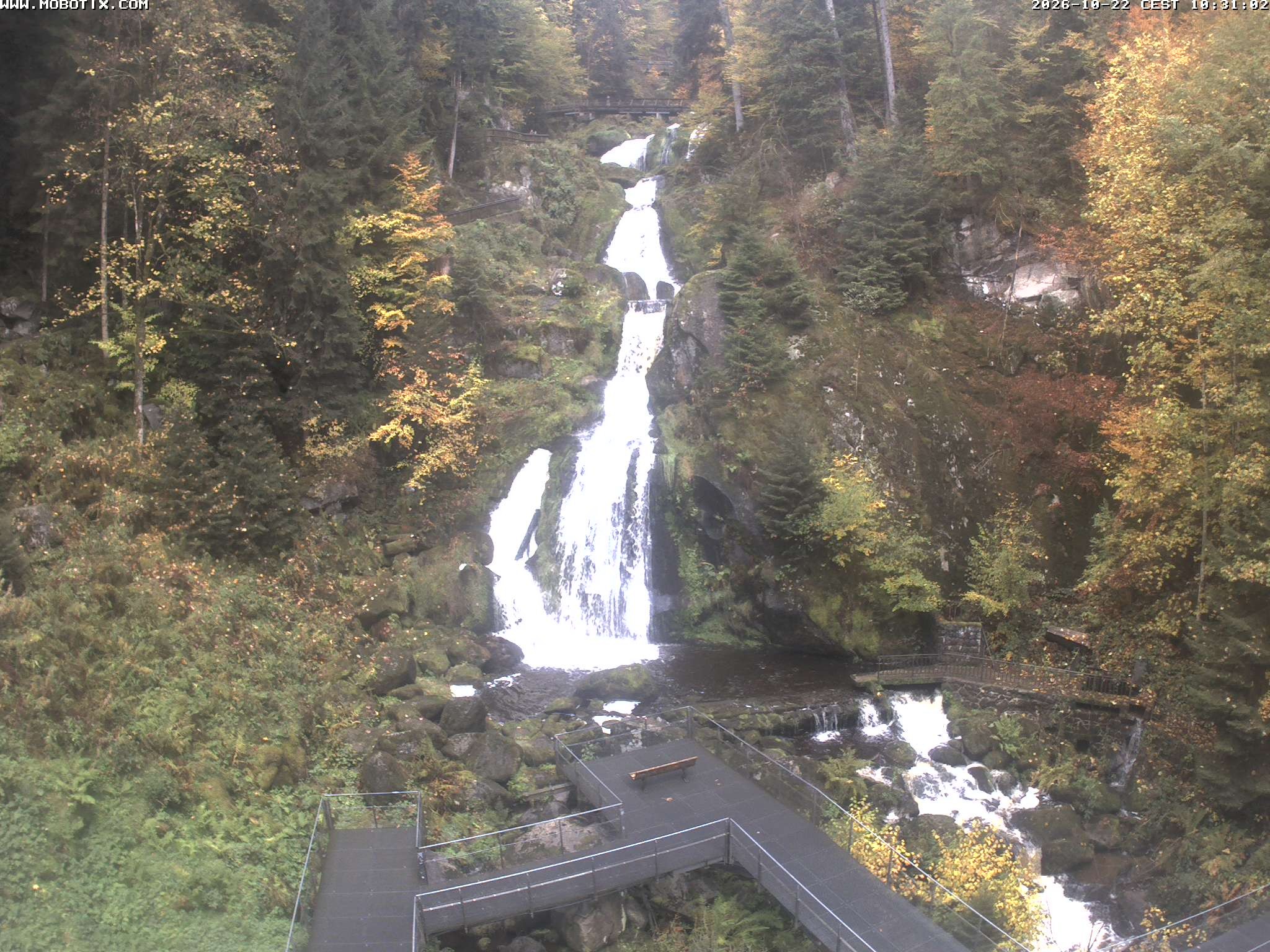 Archived image Webcam Triberg (Black Forest): Waterfalls