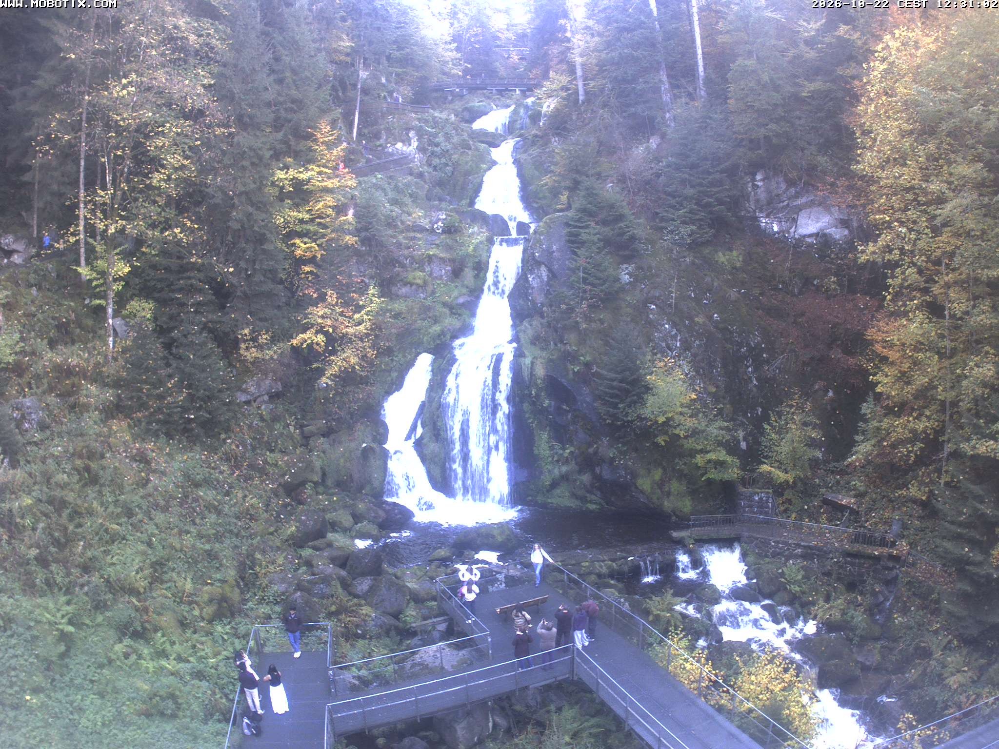 Archived image Webcam Triberg (Black Forest): Waterfalls