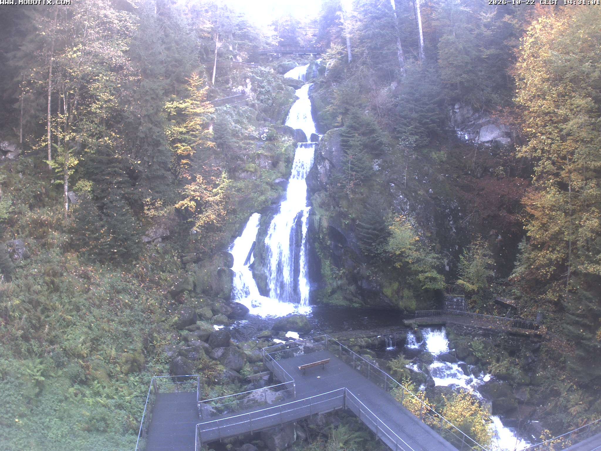 Archived image Webcam Triberg (Black Forest): Waterfalls