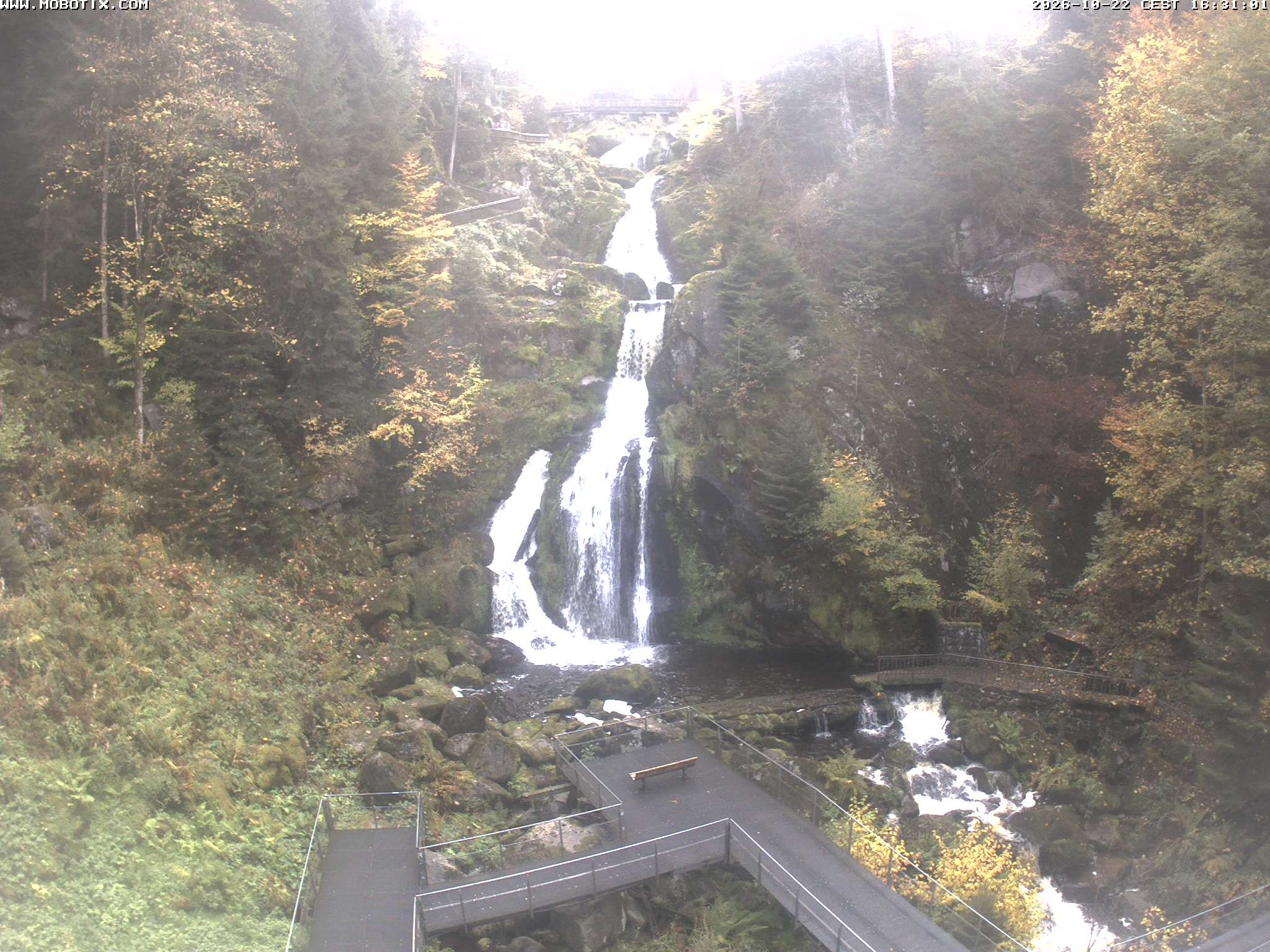 Archived image Webcam Triberg (Black Forest): Waterfalls